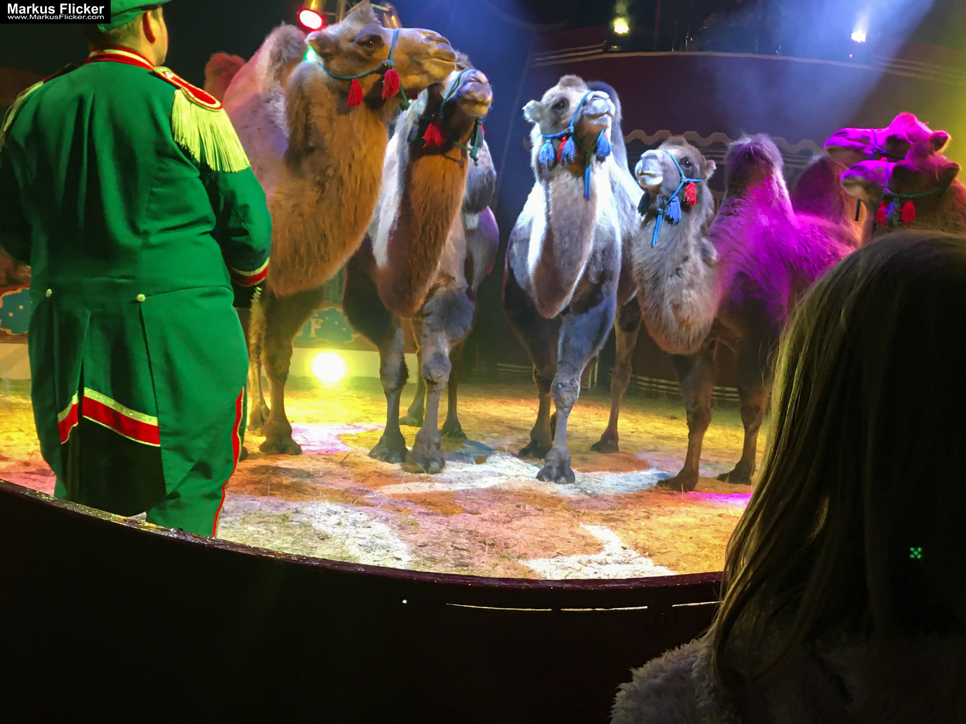 Der Zirkus ist in der Stadt. Fotografieren einer Vorstellung mit dem Smartphone