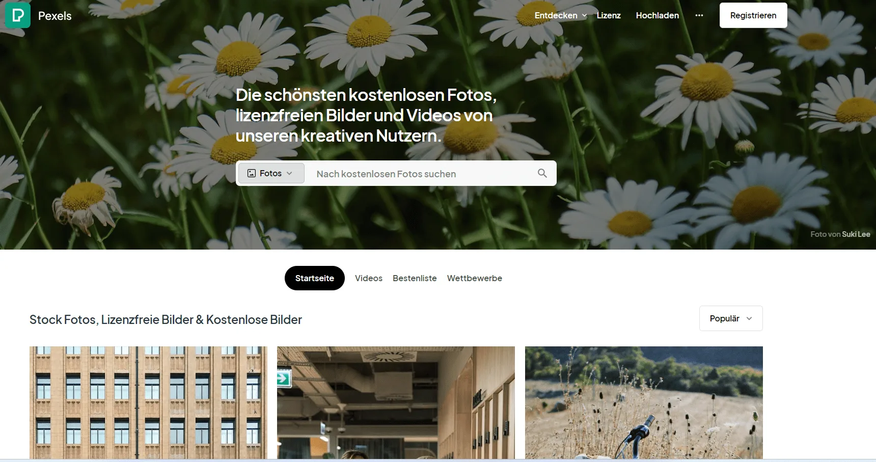 pexels.com Die schönsten kostenlosen Fotos, lizenzfreien Bilder und Videos von unseren kreativen Nutzern.