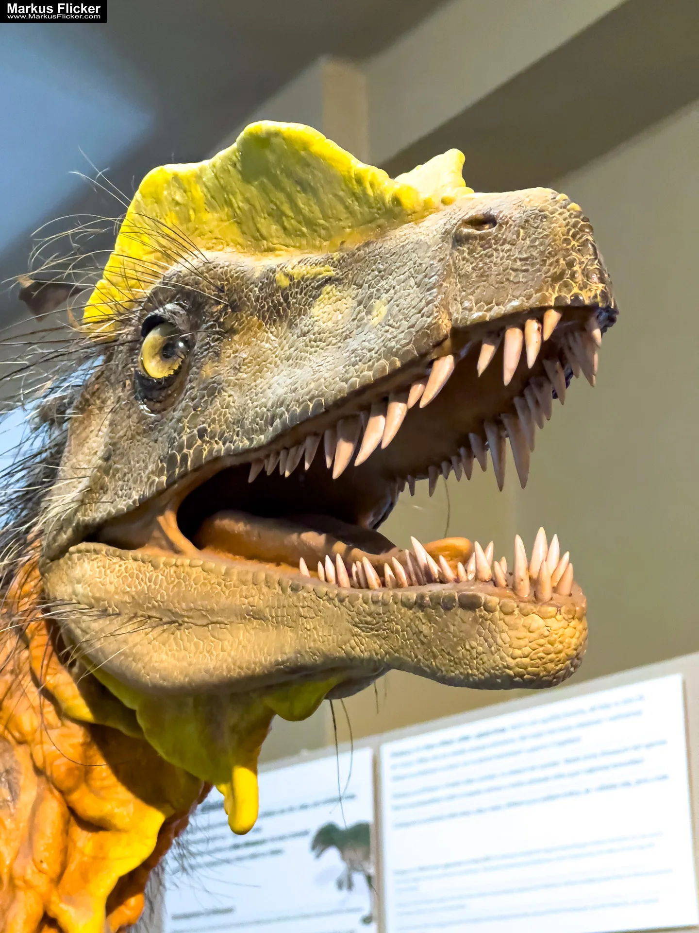 Slowakisches Nationalmuseum Slovak National Museum Slovenské národné múzeum Bratislava Slowakei inkl. 37 Tipps und Tricks für einen Besuch im Museum