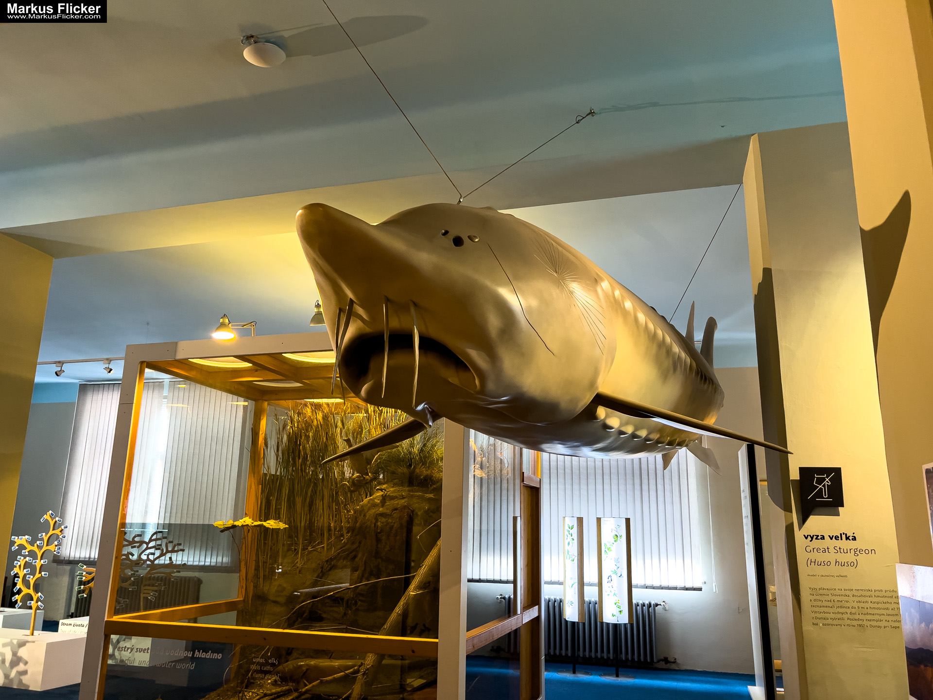 Slowakisches Nationalmuseum Slovak National Museum Slovenské národné múzeum Bratislava Slowakei