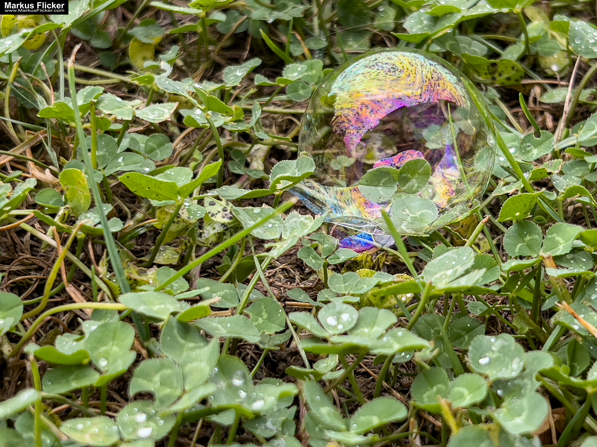 Seifenblasen bei Regen: Kreativer Fototipp mit dem Smartphone