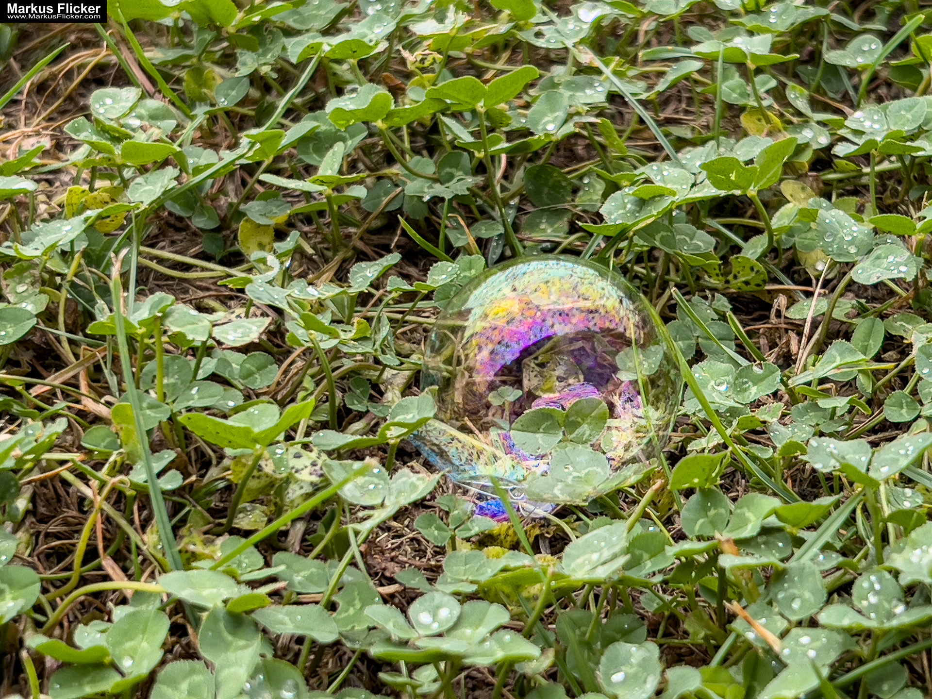 Seifenblasen bei Regen: Kreativer Fototipp mit dem Smartphone