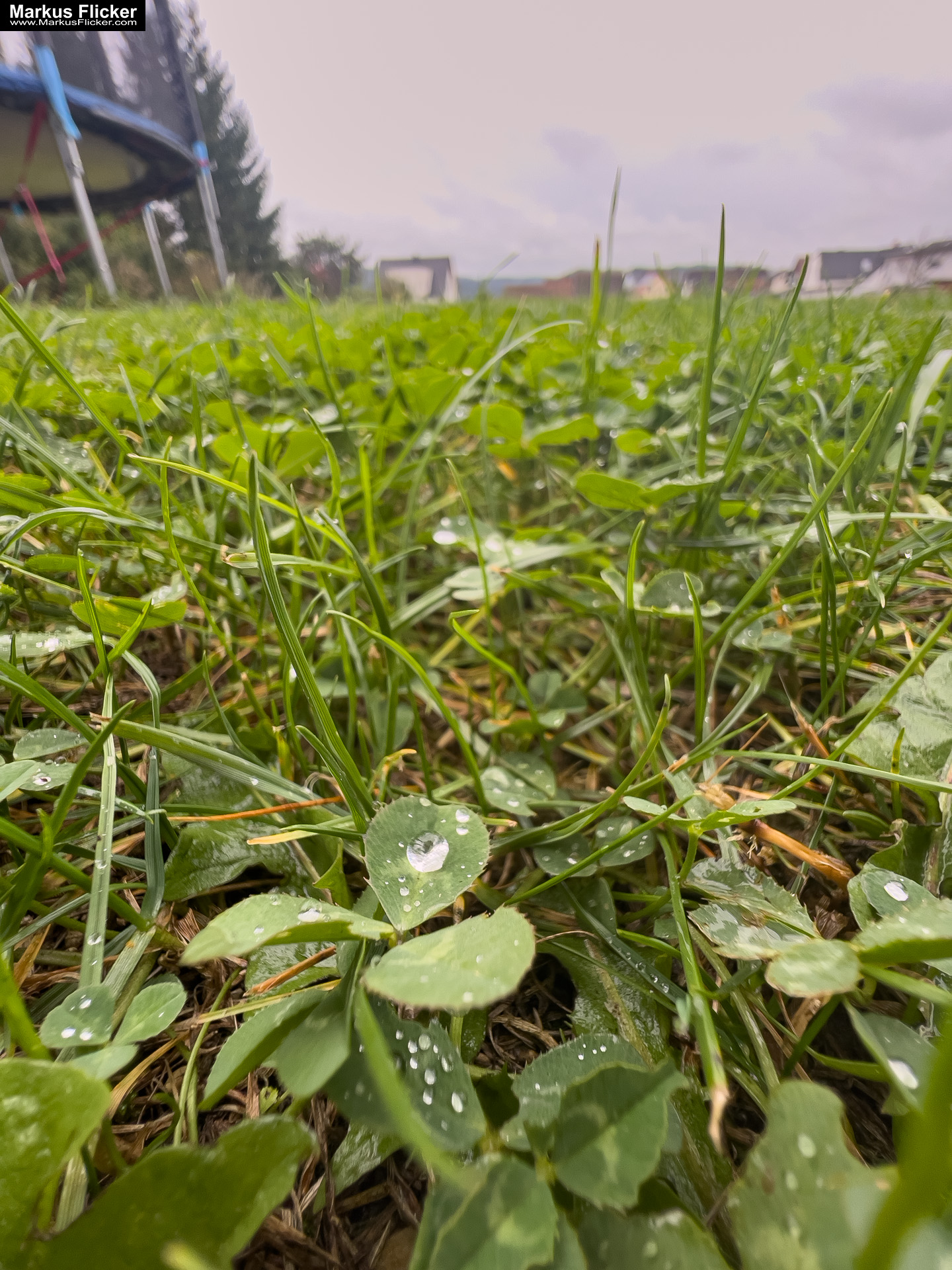Seifenblasen bei jedem Wetter: Kreativer Fototipp mit dem Smartphone. Fotografieren und Filmen mit dem Smartphone: Bessere Fotos und Videos mit dem Handy für Freizeit, Hobby und Business