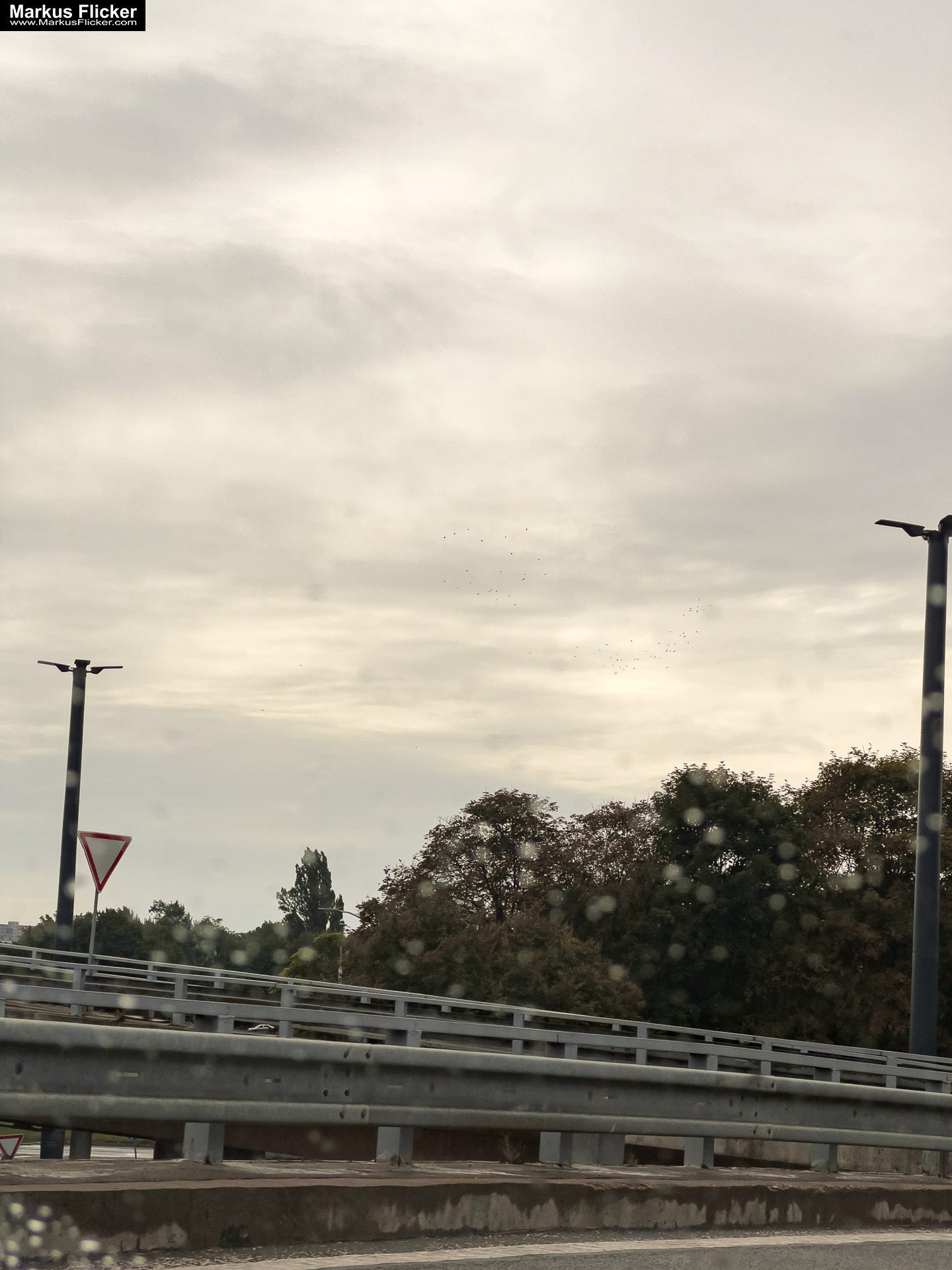 Bratislava - Eine Charmante Entdeckung an der Donau in der Slowakei Bratislava - Eine Charmante Entdeckung an der Donau in der Slowakei