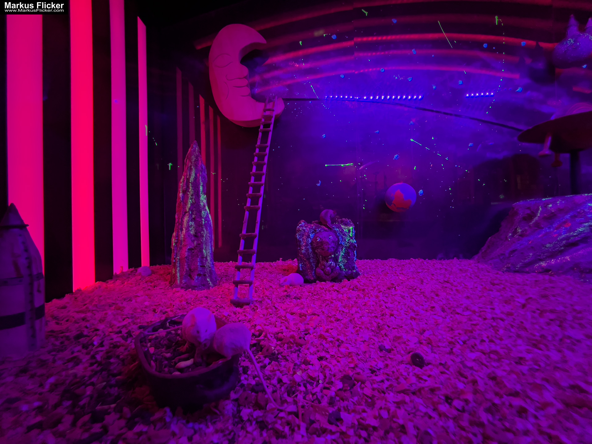 MYSZOGRÓD ZAKOPANE Skurrile Attraktion mit einer von lebenden Mäusen bevölkerten Miniaturlandschaft mit Häusern, Dörfern, Eisenbahnstrecke & Skigebiet MYSZOGRÓD ZAKOPANE Skurrile Attraktion mit einer von lebenden Mäusen bevölkerten Miniaturlandschaft mit Häusern, Dörfern, Eisenbahnstrecke & Skigebiet