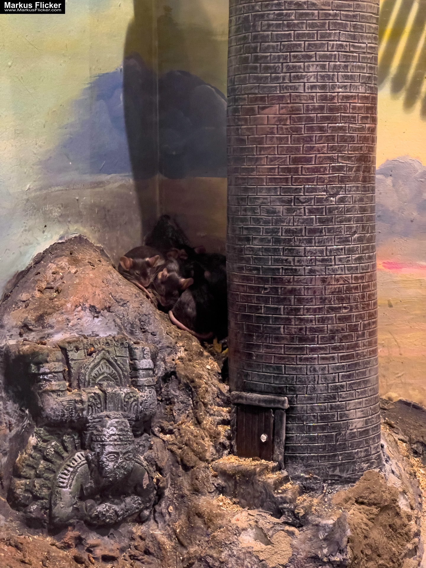 MYSZOGRÓD ZAKOPANE Skurrile Attraktion mit einer von lebenden Mäusen bevölkerten Miniaturlandschaft mit Häusern, Dörfern, Eisenbahnstrecke & Skigebiet MYSZOGRÓD ZAKOPANE Skurrile Attraktion mit einer von lebenden Mäusen bevölkerten Miniaturlandschaft mit Häusern, Dörfern, Eisenbahnstrecke & Skigebiet