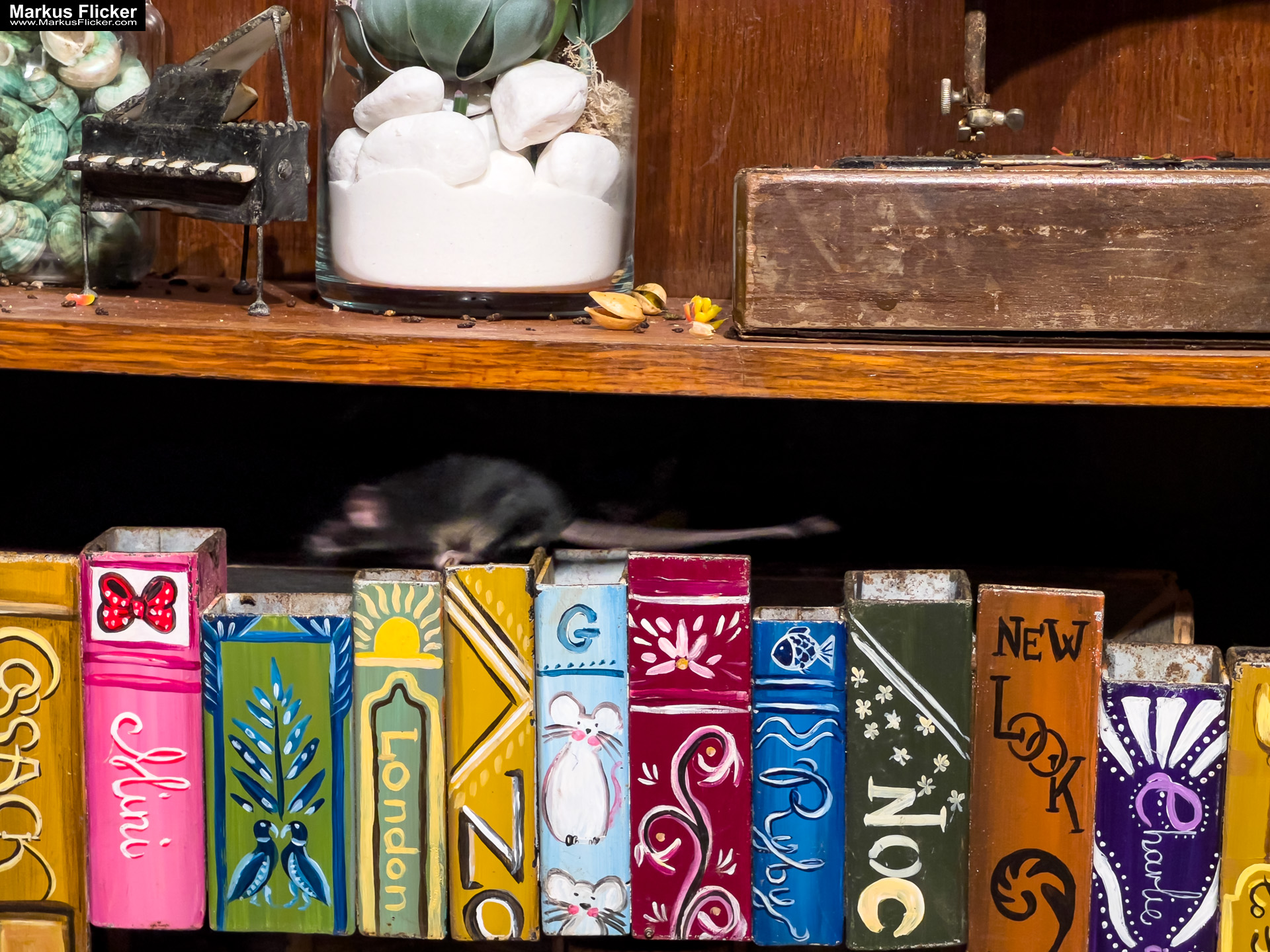 MYSZOGRÓD ZAKOPANE Skurrile Attraktion mit einer von lebenden Mäusen bevölkerten Miniaturlandschaft mit Häusern, Dörfern, Eisenbahnstrecke & Skigebiet MYSZOGRÓD ZAKOPANE Skurrile Attraktion mit einer von lebenden Mäusen bevölkerten Miniaturlandschaft mit Häusern, Dörfern, Eisenbahnstrecke & Skigebiet