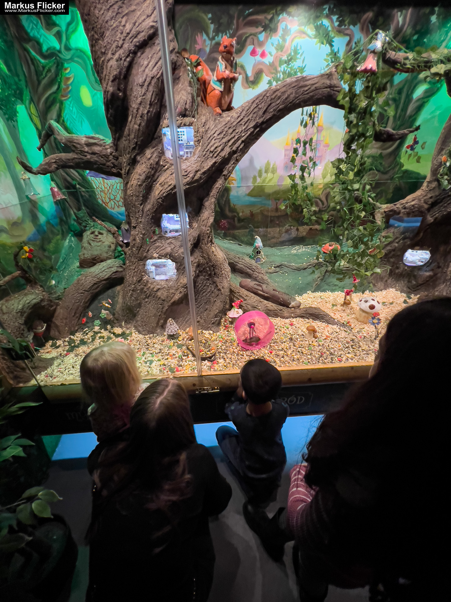 MYSZOGRÓD ZAKOPANE Skurrile Attraktion mit einer von lebenden Mäusen bevölkerten Miniaturlandschaft mit Häusern, Dörfern, Eisenbahnstrecke & Skigebiet MYSZOGRÓD ZAKOPANE Skurrile Attraktion mit einer von lebenden Mäusen bevölkerten Miniaturlandschaft mit Häusern, Dörfern, Eisenbahnstrecke & Skigebiet