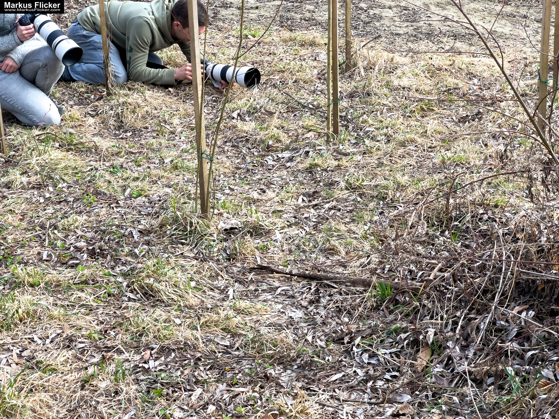 Quicktipp Tierfotografie: Fresse halten und Ruhe bewahren ;) Leise sein statt Mega Tele Objektiv / Nutria am Fluss / Naturfotografie Landschaftsfotografie. Fotografieren und Filmen mit dem Smartphone: Bessere Fotos und Videos mit dem Handy für Freizeit, Hobby und Business Quicktipp Tierfotografie: Fresse halten und Ruhe bewahren ;) Leise sein statt Mega Tele Objektiv / Nutria am Fluss / Naturfotografie Landschaftsfotografie. Fotografieren und Filmen mit dem Smartphone: Bessere Fotos und Videos mit dem Handy für Freizeit, Hobby und Business