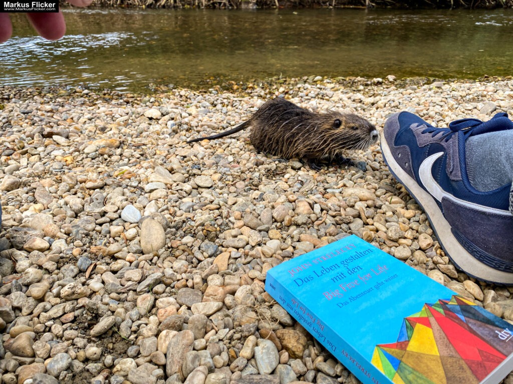 Fotograf Videograf Contentcreator Author Photography Videography Graz Austria Advertising Image editing Workshops Travel Blog Styria Finding and creating visual solutions for your company Founded in 2012 Werbeagentur Marketingagentur