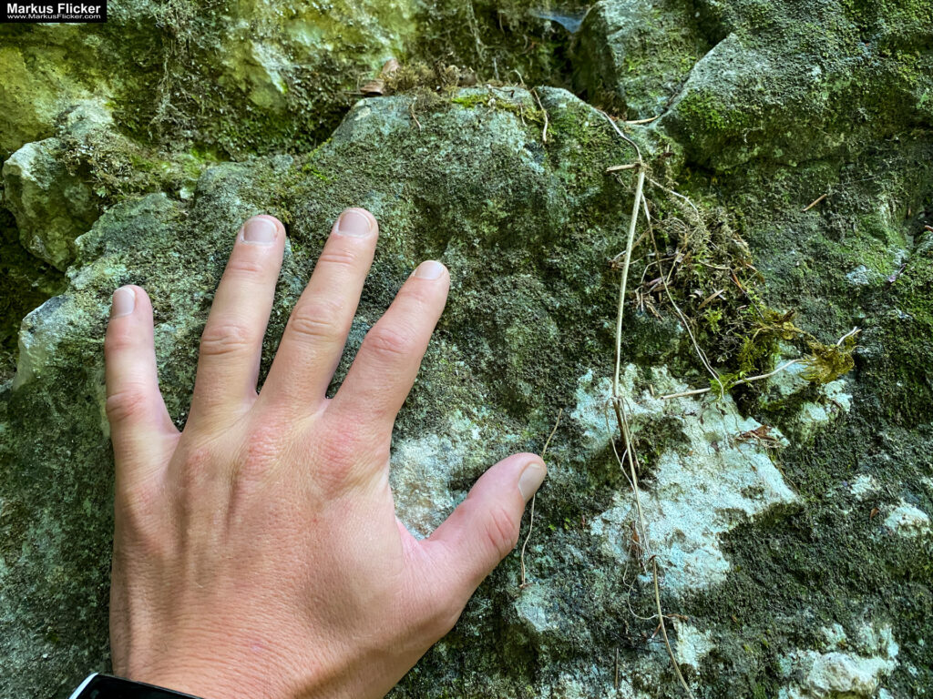 Fotograf Videograf Contentcreator Author Photography Videography Graz Austria Advertising Image editing Workshops Travel Blog Styria Finding and creating visual solutions for your company Founded in 2012 Werbeagentur Marketingagentur