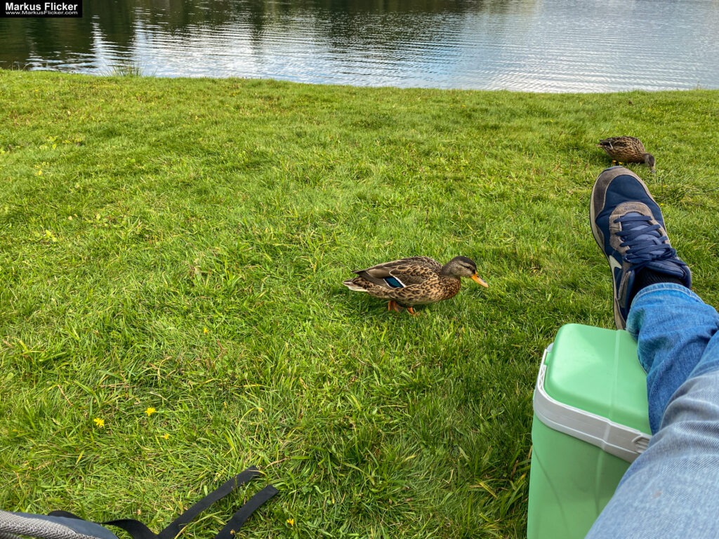 Fotograf Videograf Contentcreator Author Photography Videography Graz Austria Advertising Image editing Workshops Travel Blog Styria Finding and creating visual solutions for your company Founded in 2012 Werbeagentur Marketingagentur