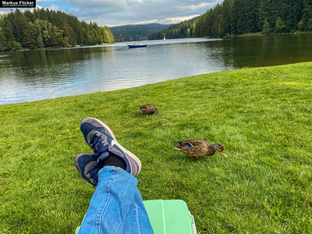 Fotograf Videograf Contentcreator Author Photography Videography Graz Austria Advertising Image editing Workshops Travel Blog Styria Finding and creating visual solutions for your company Founded in 2012 Werbeagentur Marketingagentur