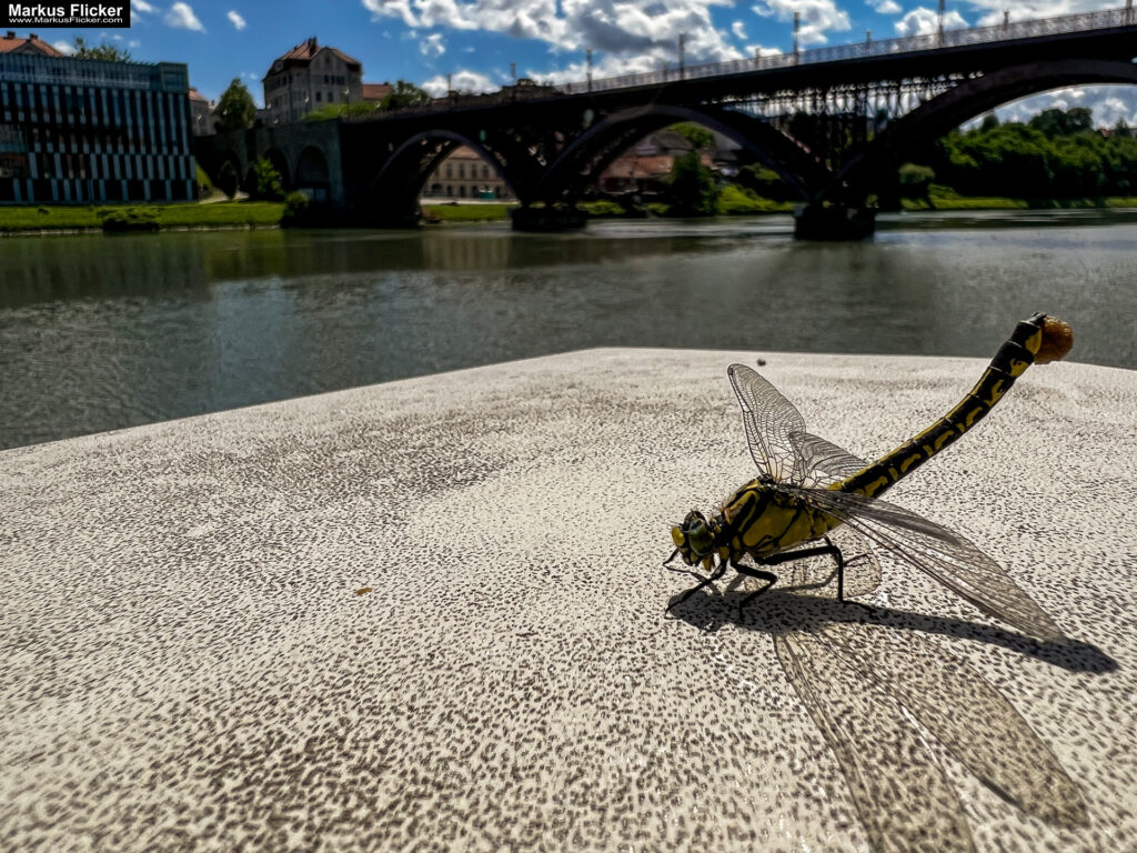 Markus Flicker Fotograf Videograf Contentcreator Autor Fotografie Videografie Graz Österreich Werbung Bildbearbeitung Workshops Reiseblog Steiermark Visuelle Lösungen für Ihr Unternehmen finden und erstellen Gegründet 2012 Werbeagentur Marketingagentur