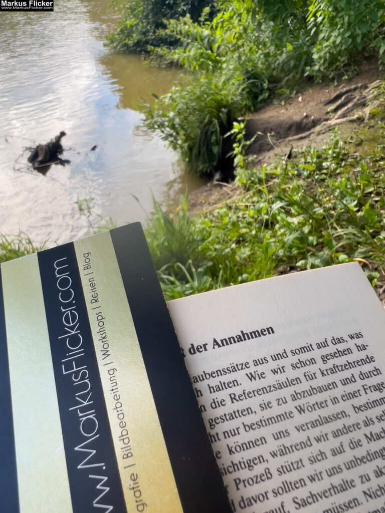 Markus Flicker Fotograf Videograf Contentcreator Autor Fotografie Videografie Graz Österreich Werbung Bildbearbeitung Workshops Reiseblog Steiermark Visuelle Lösungen für Ihr Unternehmen finden und erstellen Gegründet 2012 Werbeagentur Marketingagentur