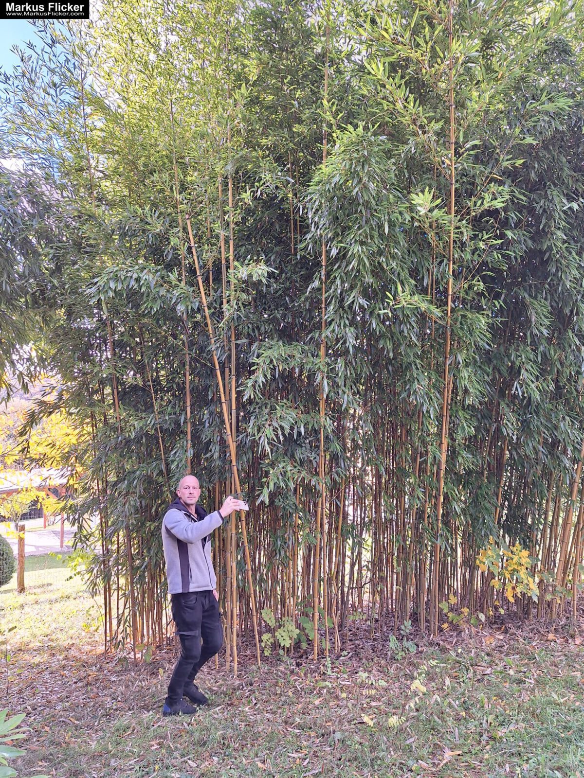 Markus Flicker Fotograf Videograf Contentcreator Autor Fotografie Videografie Graz Österreich Werbung Bildbearbeitung Workshops Reiseblog Steiermark Visuelle Lösungen für Ihr Unternehmen finden und erstellen Gegründet 2012 Werbeagentur Marketingagentur