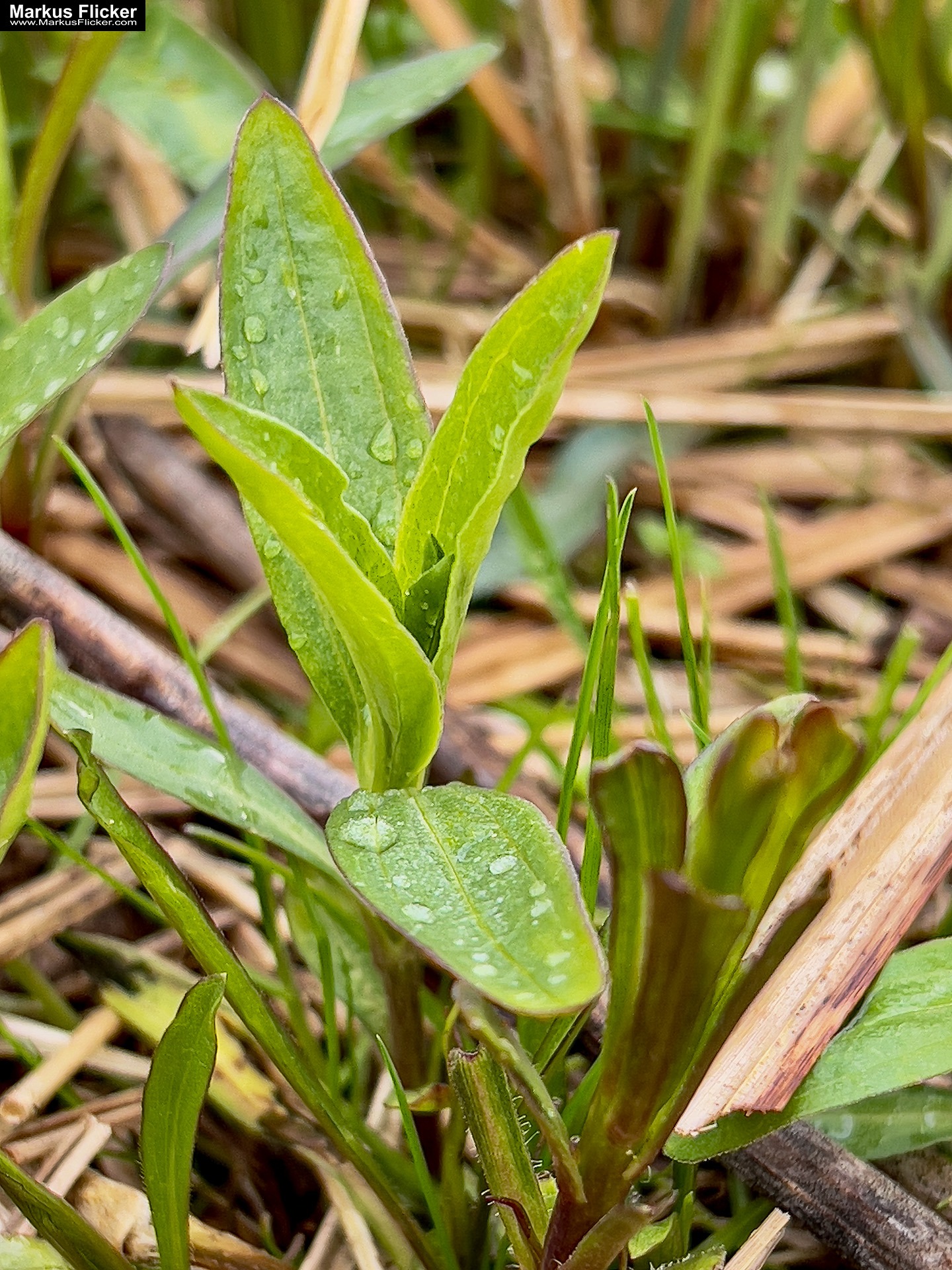 Landschaftsfotografie: Landschaftskomposition, Filter, Belichtung, Verwendung von Stativen inkl. 37 Tipps & Tricks Landschaftsfotografie: Landschaftskomposition, Filter, Belichtung, Verwendung von Stativen