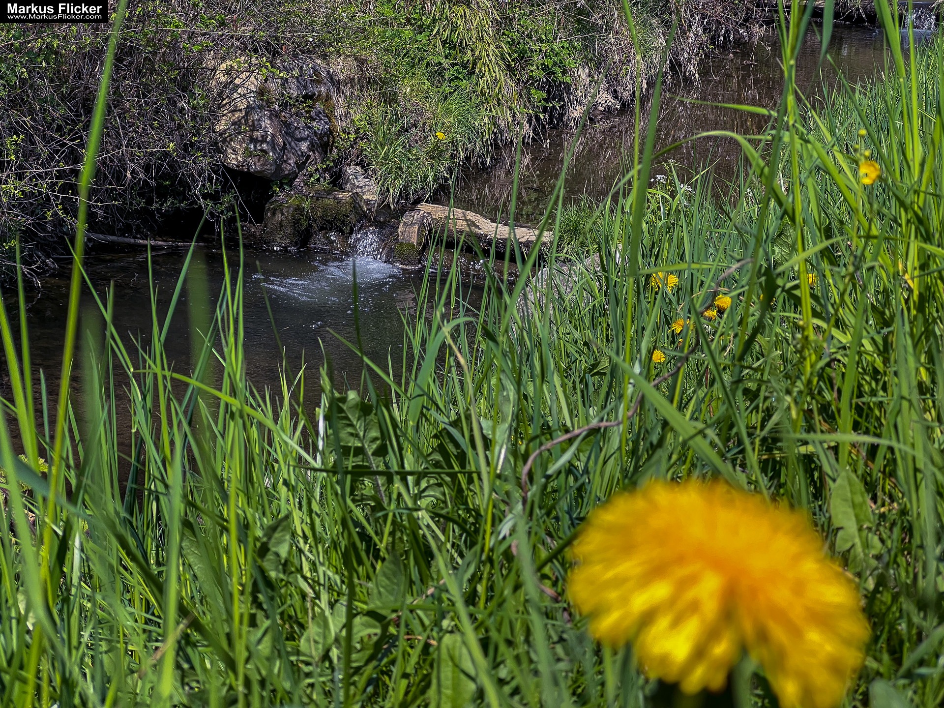 Landschaftsfotografie: Landschaftskomposition, Filter, Belichtung, Verwendung von Stativen inkl. 37 Tipps & Tricks Landschaftsfotografie: Landschaftskomposition, Filter, Belichtung, Verwendung von Stativen