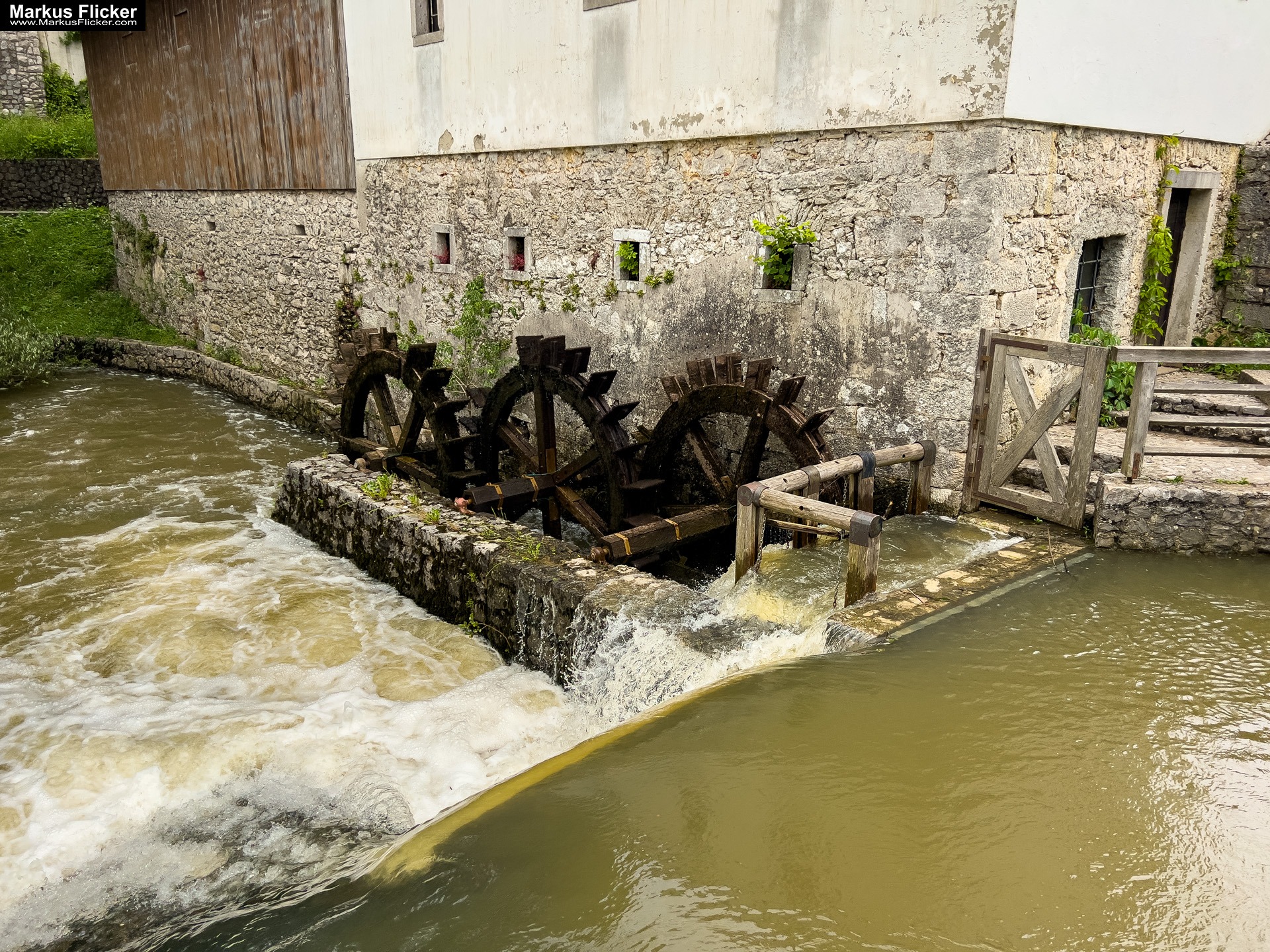 Park Postojna Jama Höhlen von Postojna in Slowenien #visitslovenia Park Postojna Jama. Höhlen von Postojna in Slowenien #visitslovenia
