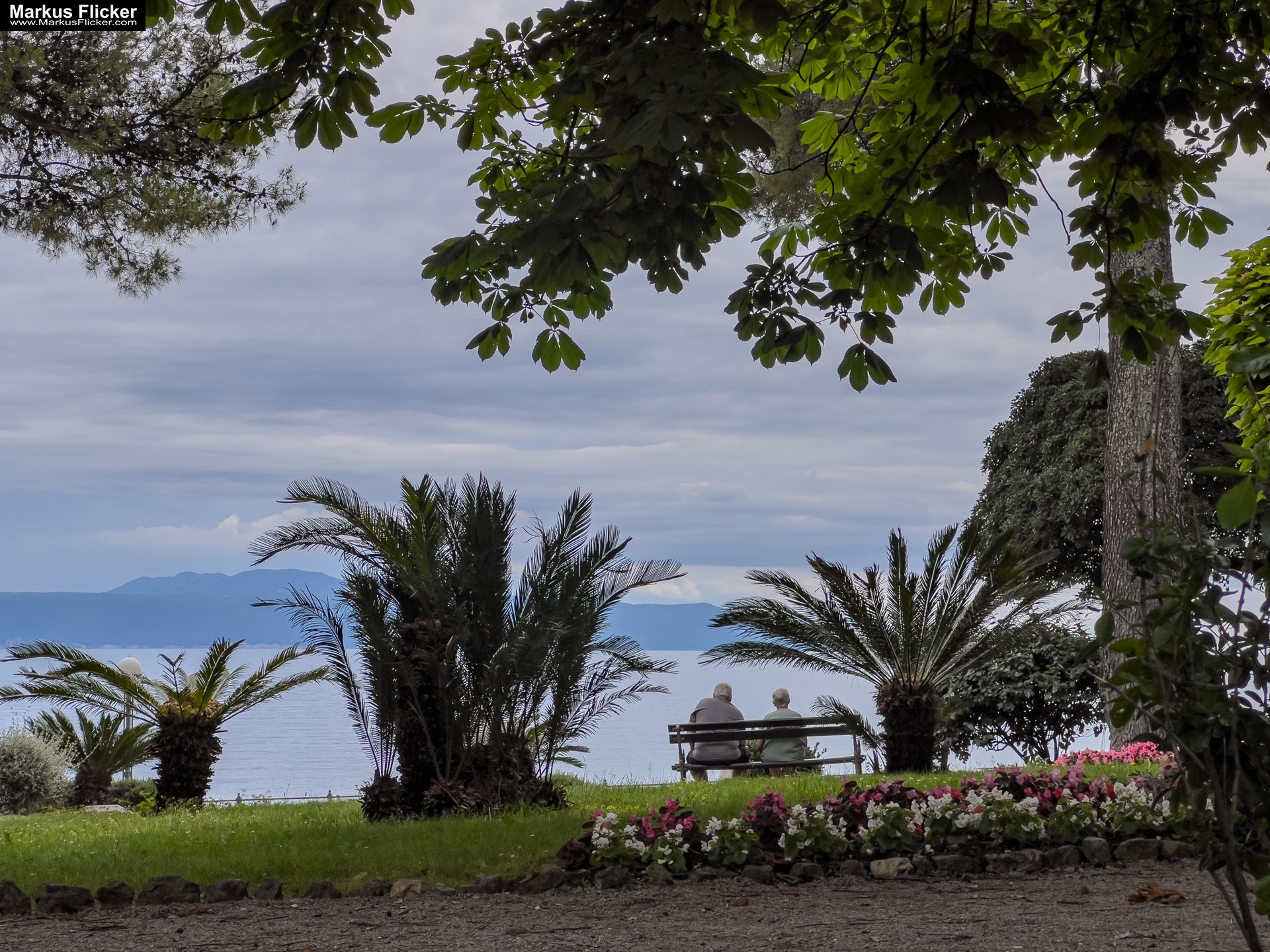 Lovran Ufer Küste Primorje-Gorski kotar Lorbeer Istrien Kroatien Adria #visitcroatia #visitlovran Lovran Ufer Küste Primorje-Gorski kotar Lorbeer Istrien Kroatien Adria #visitcroatia #visitlovran