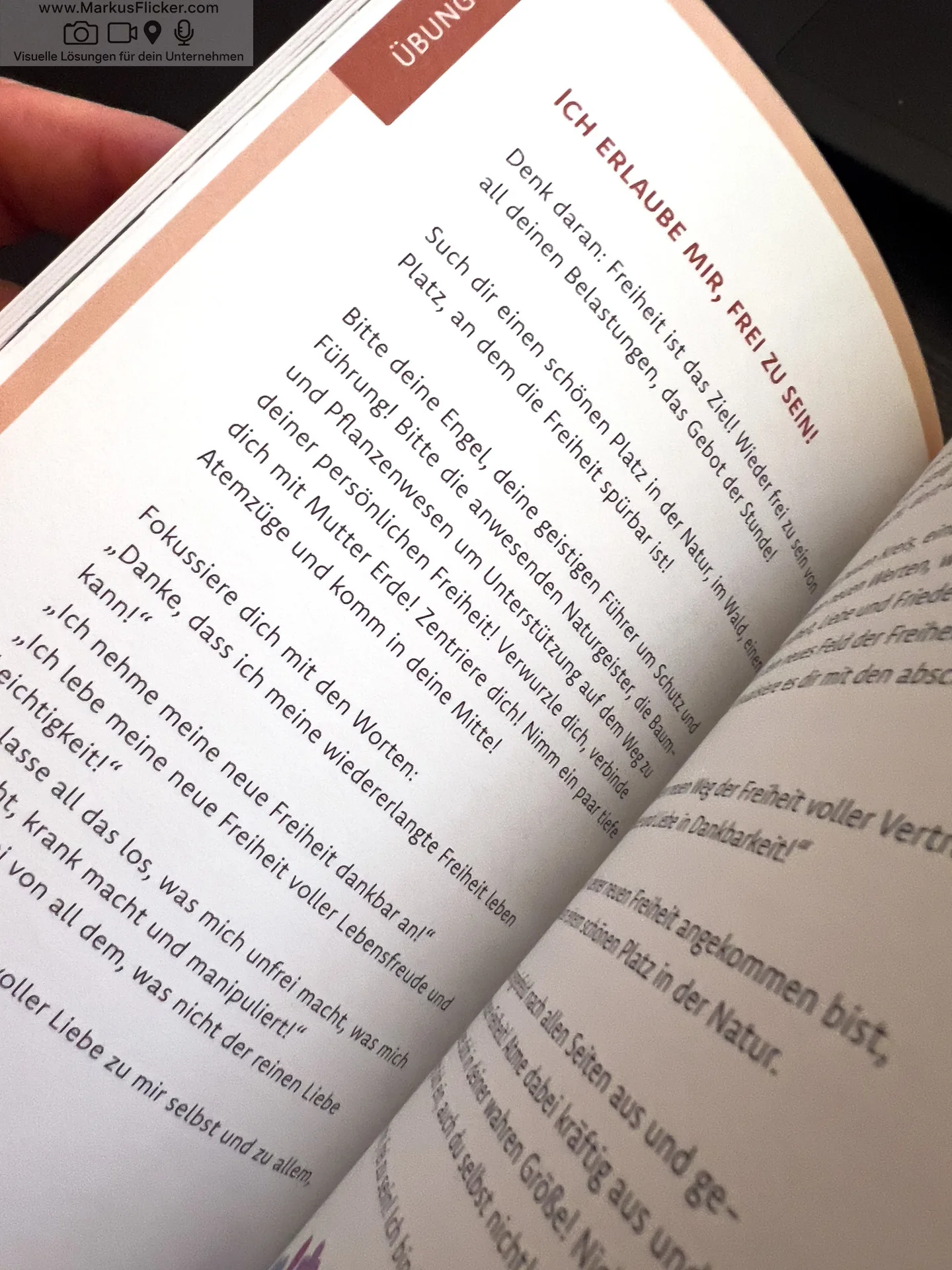 Komm in deine neue Freiheit: durch gelebte Achtsamkeit von Werner Buchberger Komm in deine neue Freiheit: durch gelebte Achtsamkeit von Werner Buchberger