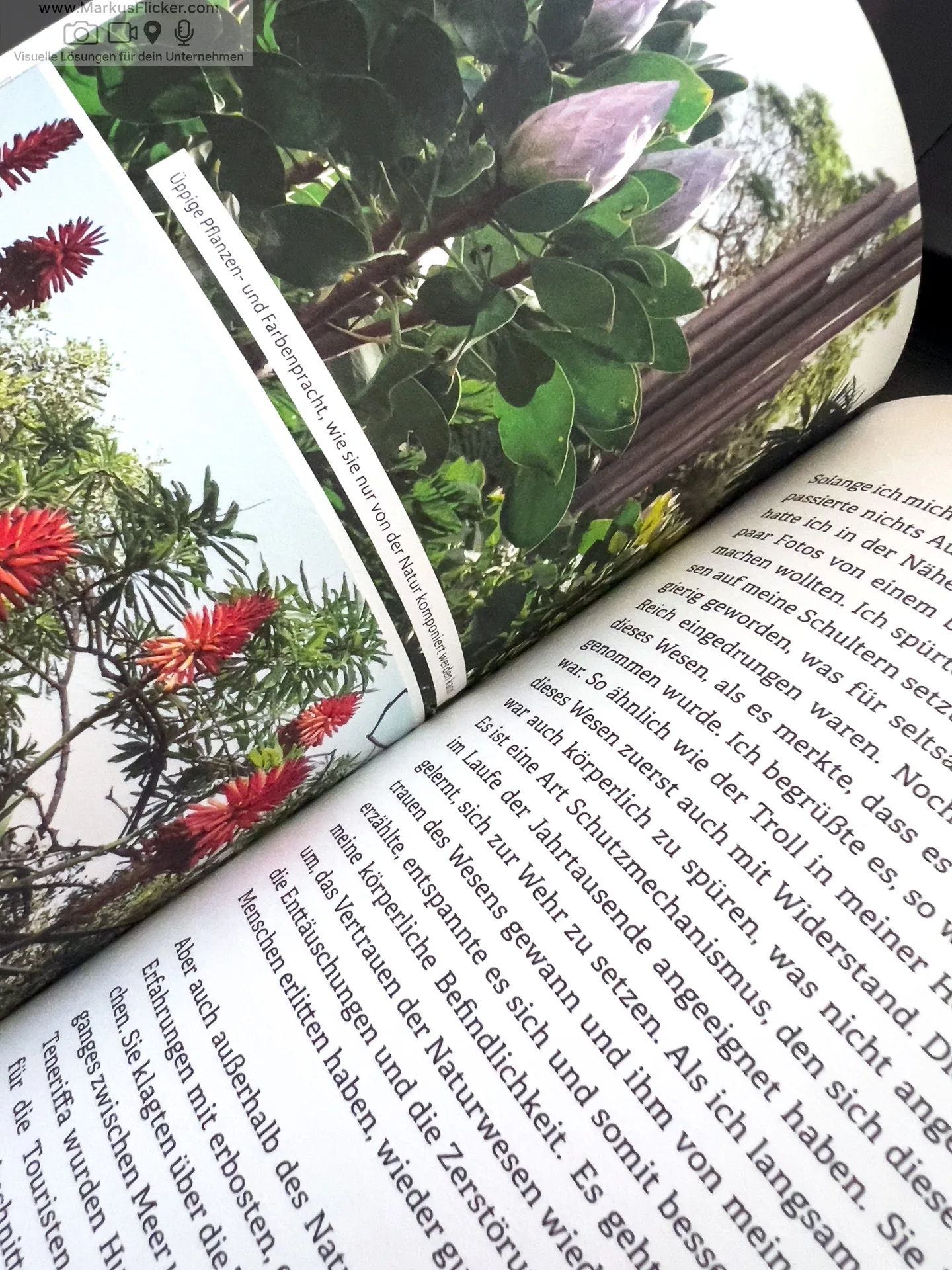 Komm in deine neue Freiheit: durch gelebte Achtsamkeit von Werner Buchberger Komm in deine neue Freiheit: durch gelebte Achtsamkeit von Werner Buchberger