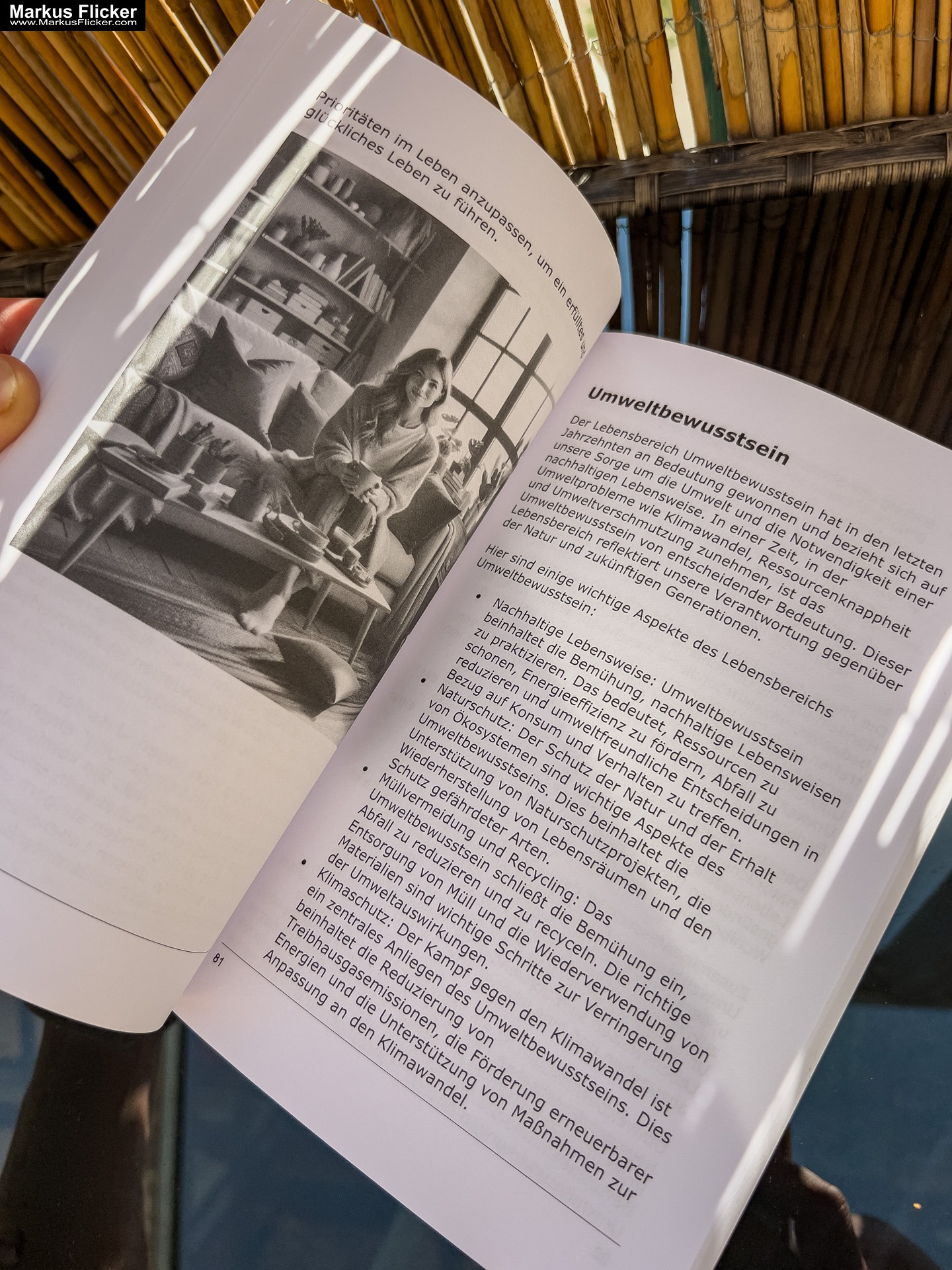 Dein Lebensrad drehen: 12 Schlüsselbereiche für ein Erfülltes Leben: Dein Schlüssel zu Glück und Erfolg Buch von Markus Flicker Dein Lebensrad drehen: 12 Schlüsselbereiche für ein Erfülltes Leben: Die 12 Lebensbereiche: Dein Schlüssel zu Glück und Erfolg Buch von Markus Flicker
