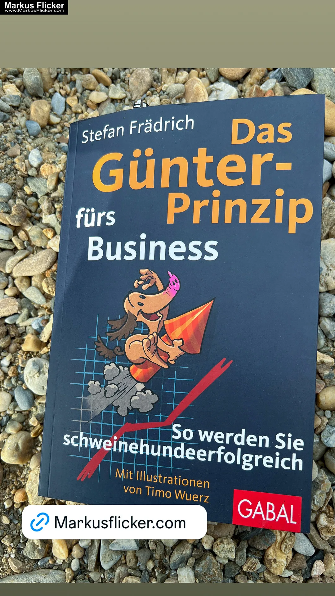 Das Günter-Prinzip fürs Business: So werden Sie schweinehundeerfolgreich (Günter, der innere Schweinehund) von Stefan Frädrich