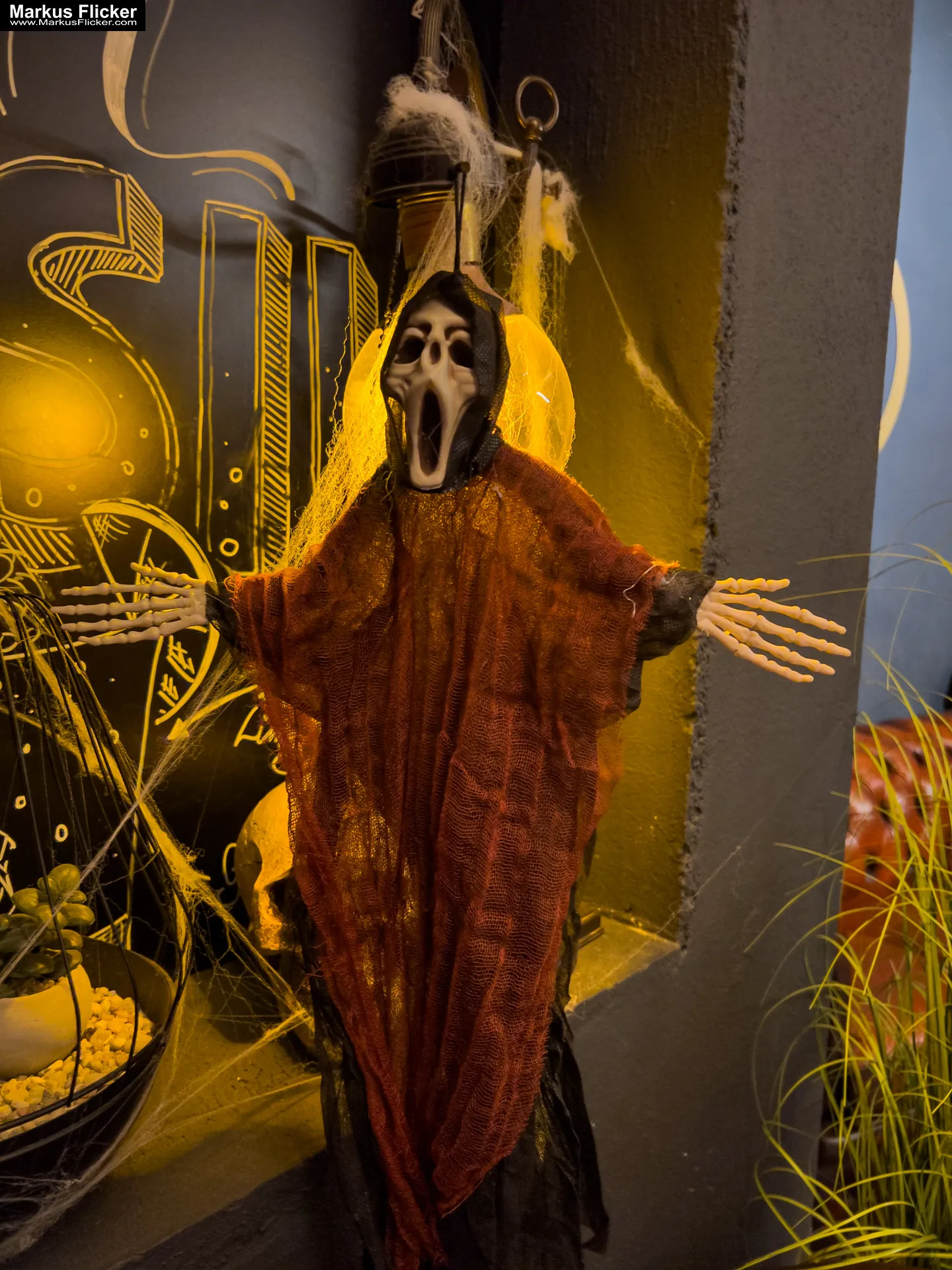 Sei Giorni 6G Halloween Party Gleisdorf Steiermark Sei Giorni 6G Halloween Party Gleisdorf Steiermark