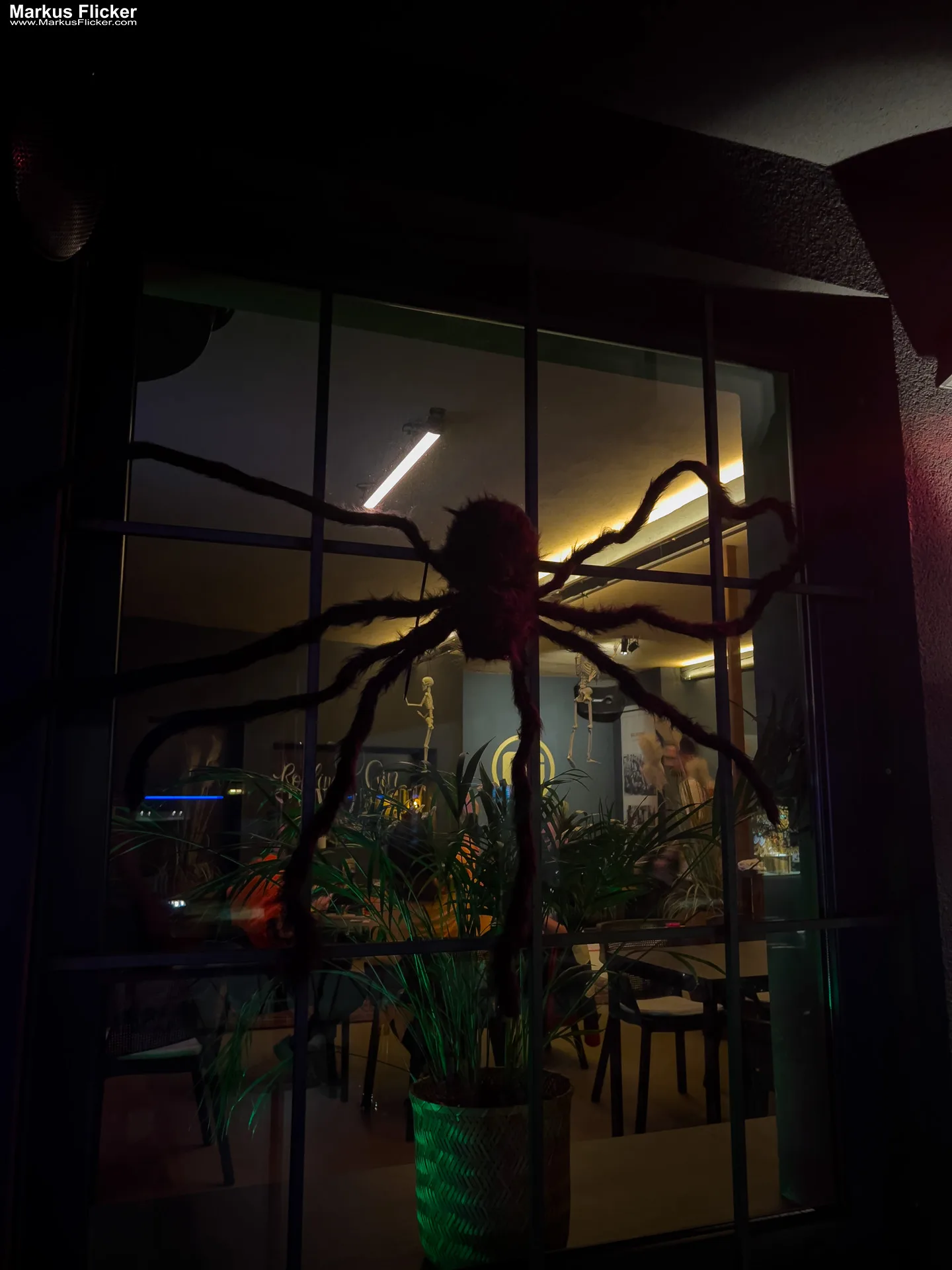 Sei Giorni 6G Halloween Party Gleisdorf Steiermark Sei Giorni 6G Halloween Party Gleisdorf Steiermark