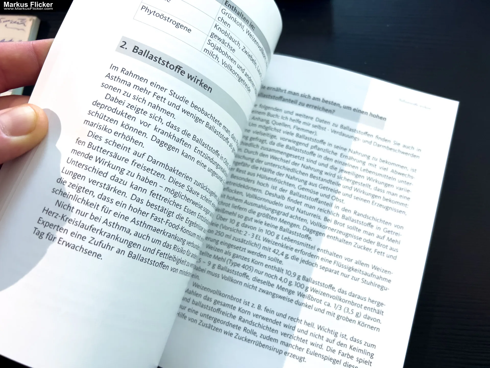 Asthma – Das Selbsthilfebuch von Andrea Flemmer