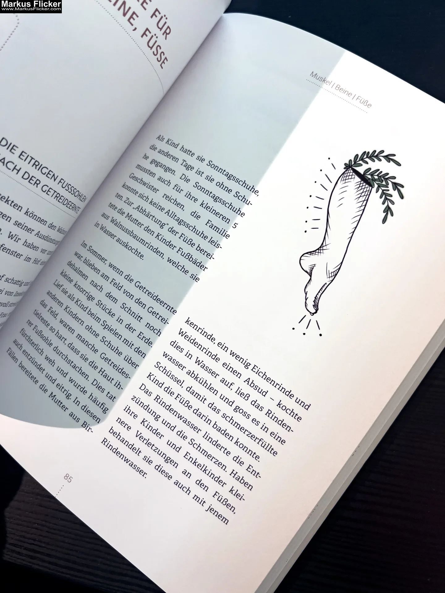 Rindenapotheke: Volksmedizin aus Baum- und Strauchrinden von Eunike Grahofer Rindenapotheke: Volksmedizin aus Baum- und Strauchrinden von Eunike Grahofer