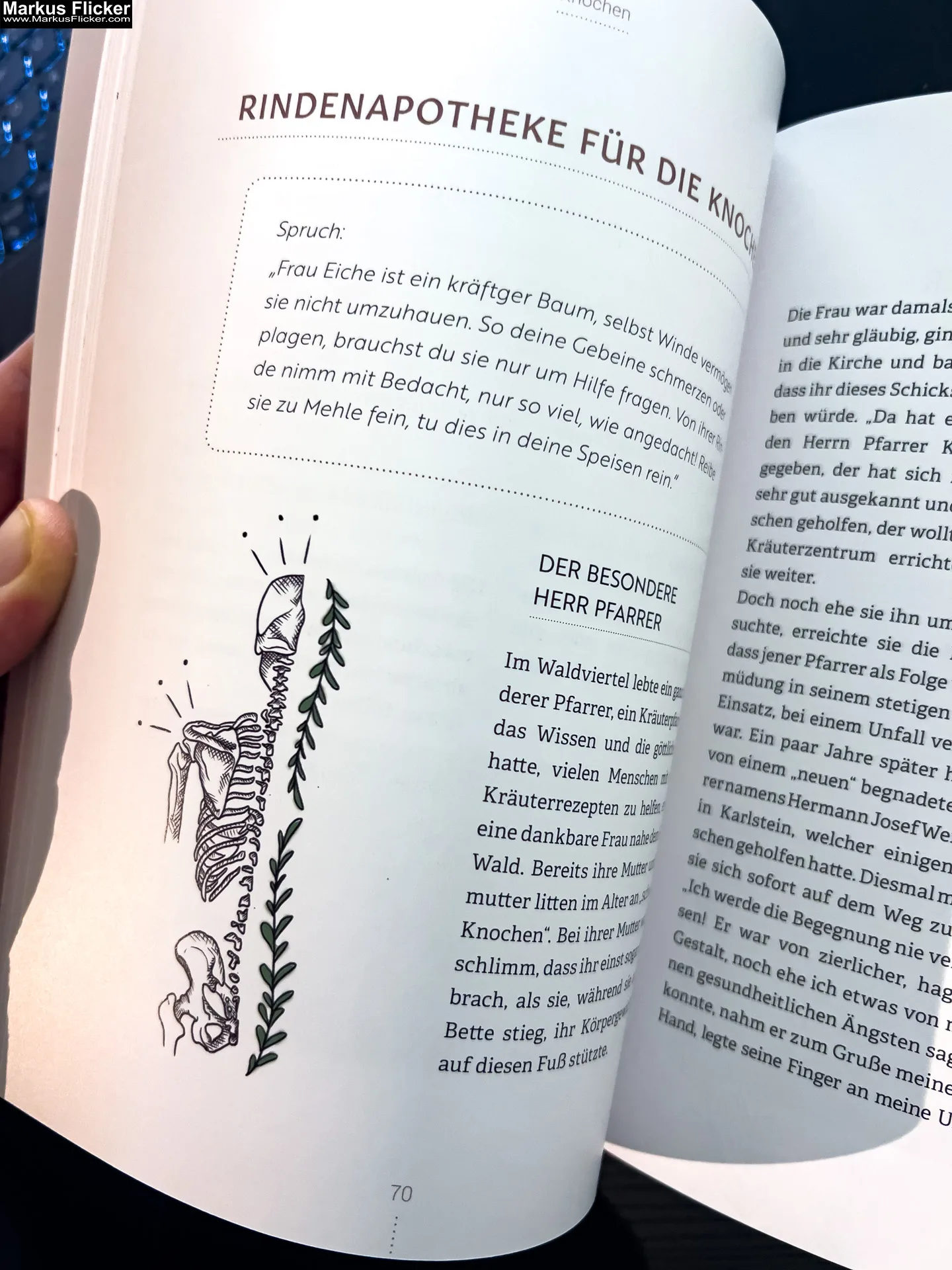 Rindenapotheke: Volksmedizin aus Baum- und Strauchrinden von Eunike Grahofer Rindenapotheke: Volksmedizin aus Baum- und Strauchrinden von Eunike Grahofer