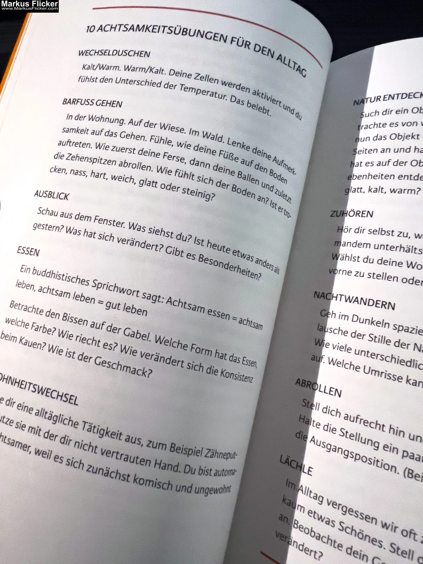 Wege zum Mut in dir: Dein Leben - deine Regeln von Andrea Ensmann freya Verlag