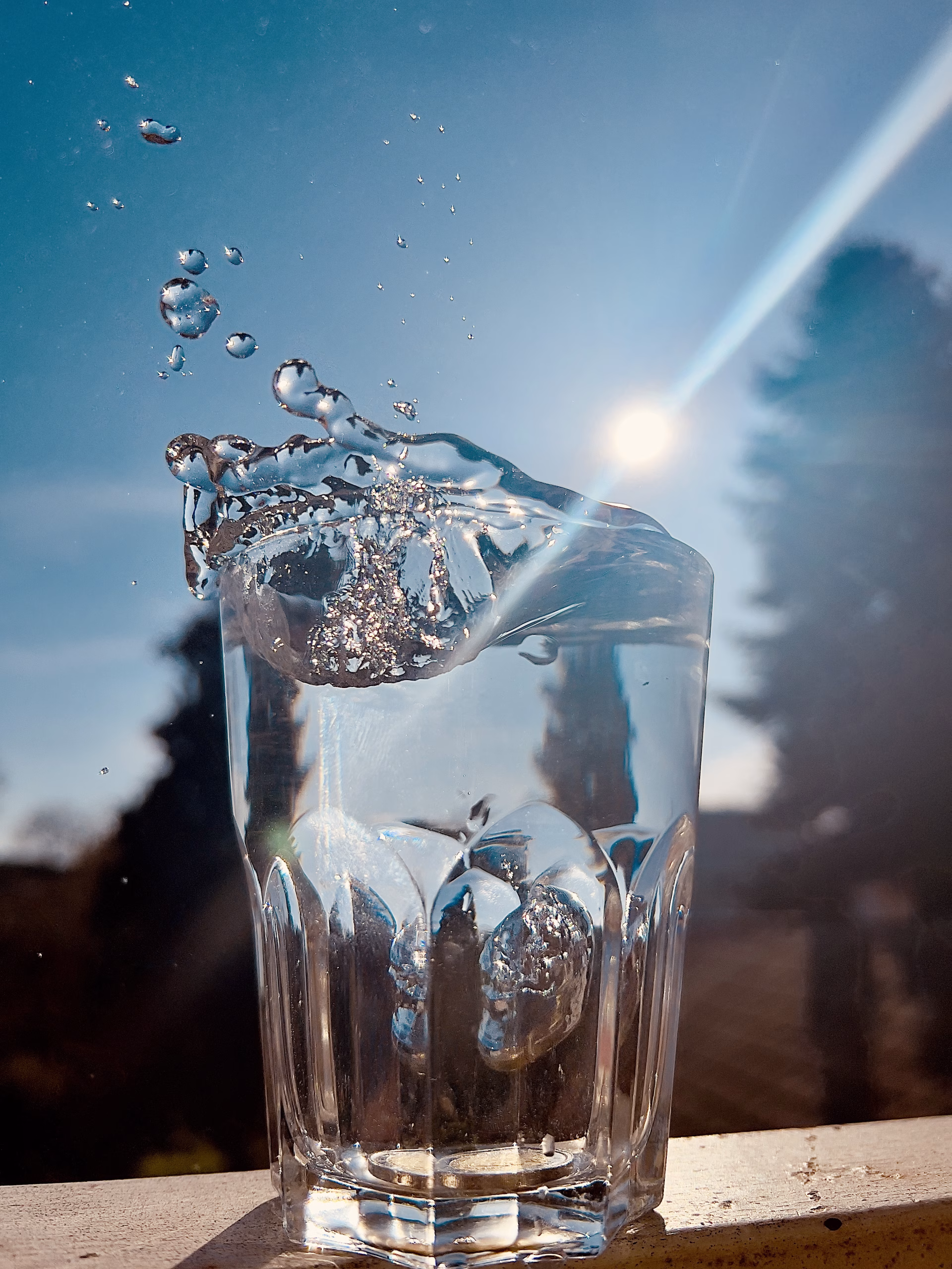 Dynamik im Detail: Wassertropfen und Gräser für DIY-Fotoprojekte inkl. 5 wichtige technische Aspekte Dynamik im Detail: Wassertropfen und Gräser für DIY-Fotoprojekte