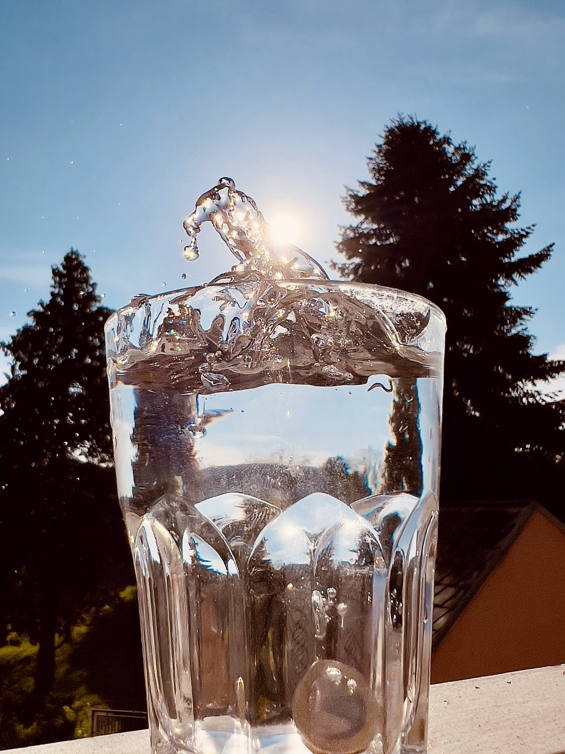 Dynamik im Detail: Wassertropfen und Gräser für DIY-Fotoprojekte inkl. 5 wichtige technische Aspekte Dynamik im Detail: Wassertropfen und Gräser für DIY-Fotoprojekte