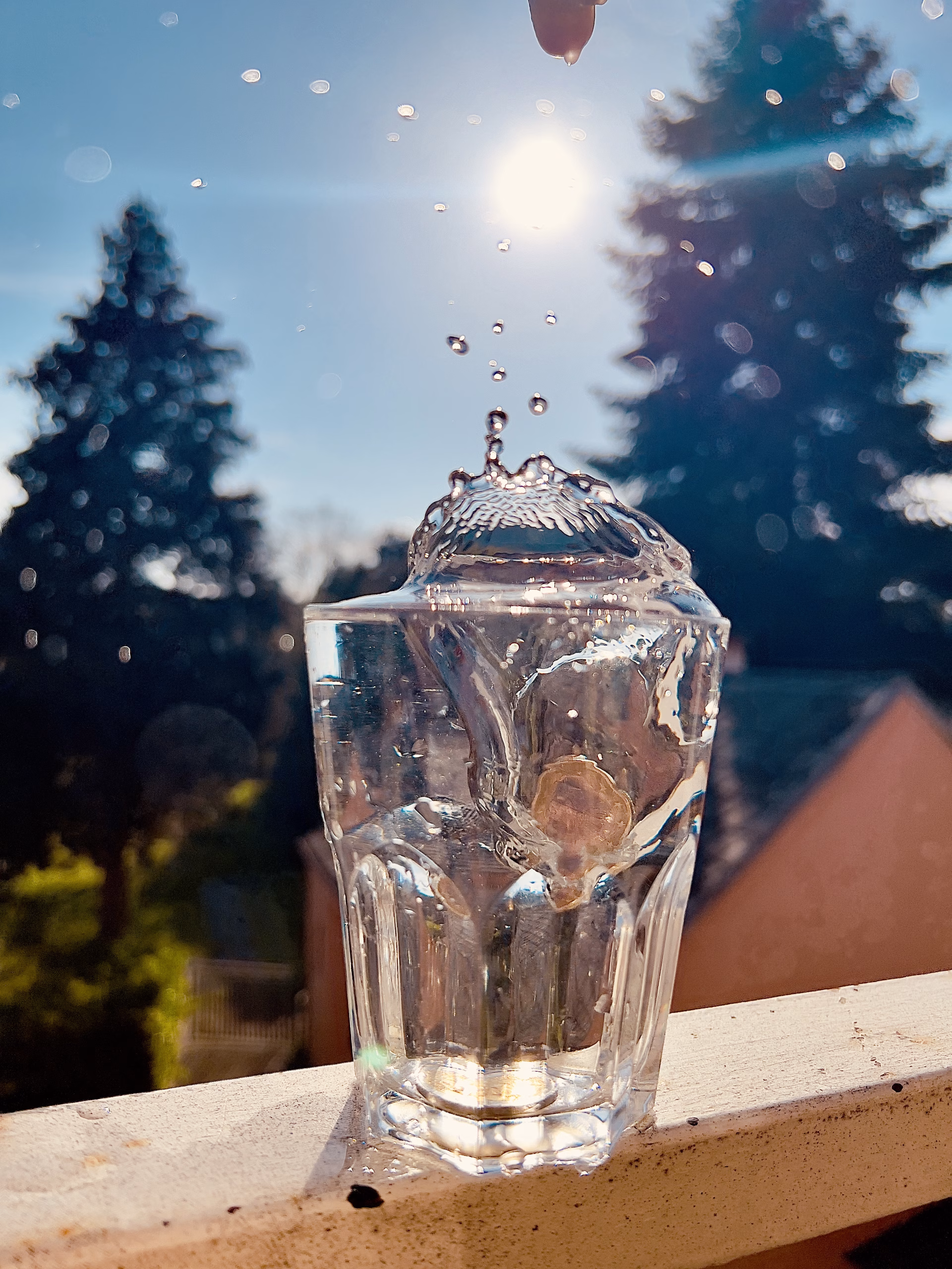 Dynamik im Detail: Wassertropfen und Gräser für DIY-Fotoprojekte inkl. 5 wichtige technische Aspekte Dynamik im Detail: Wassertropfen und Gräser für DIY-Fotoprojekte