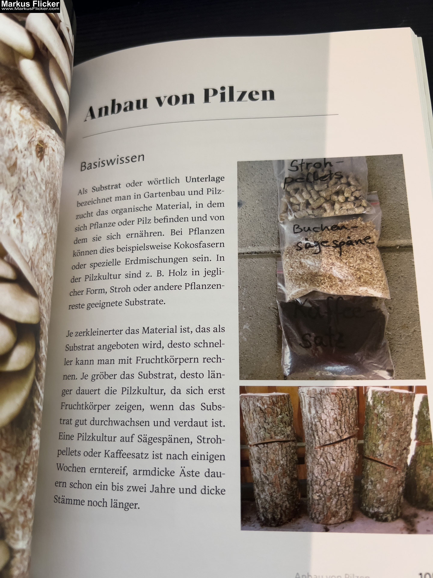 Vitalpilze: einfach entdecken, anbauen, probieren von Wolfgang Friese und Veronika Wähnert