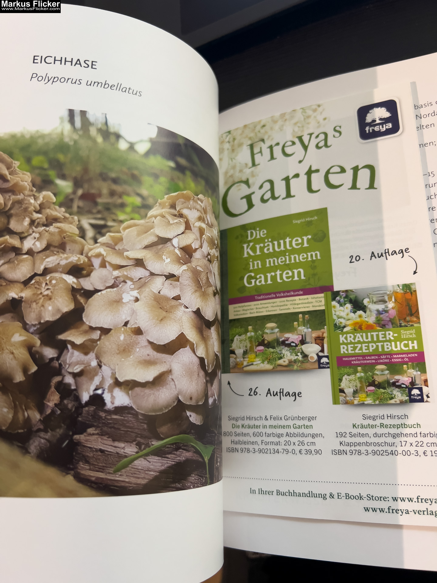 Vitalpilze: einfach entdecken, anbauen, probieren von Wolfgang Friese und Veronika Wähnert