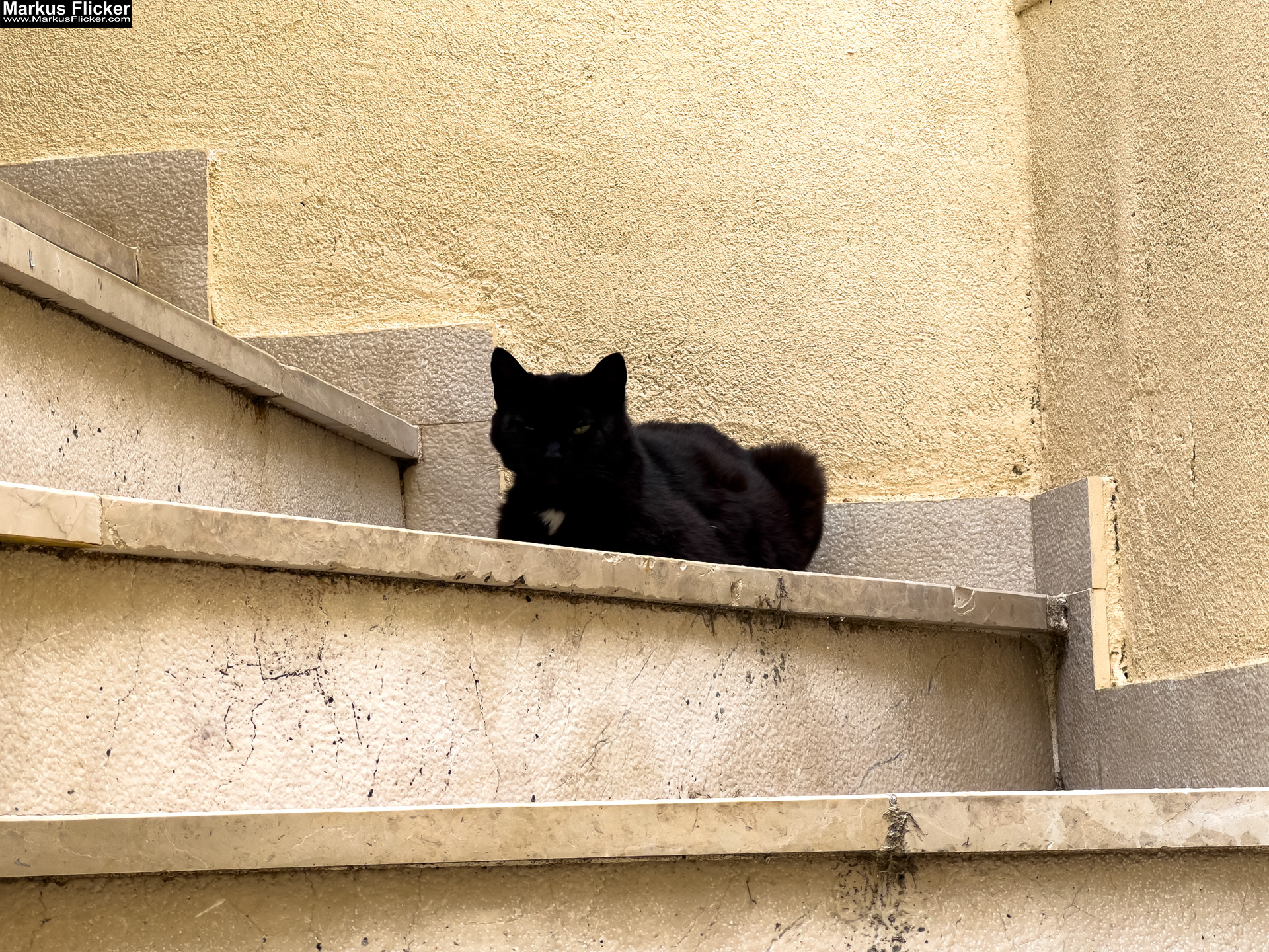 Die Stadt Krk – ein lebendiger Knotenpunkt aus Geschichte, Gegenwart und Zukunft Die Stadt Krk – ein lebendiger Knotenpunkt aus Geschichte, Gegenwart und Zukunft