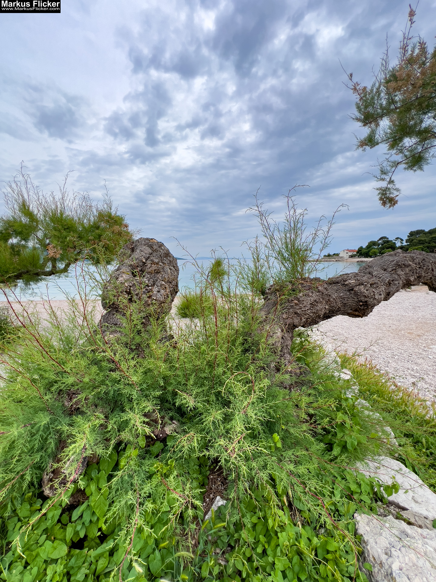 Die Stadt Krk – ein lebendiger Knotenpunkt aus Geschichte, Gegenwart und Zukunft Die Stadt Krk – ein lebendiger Knotenpunkt aus Geschichte, Gegenwart und Zukunft