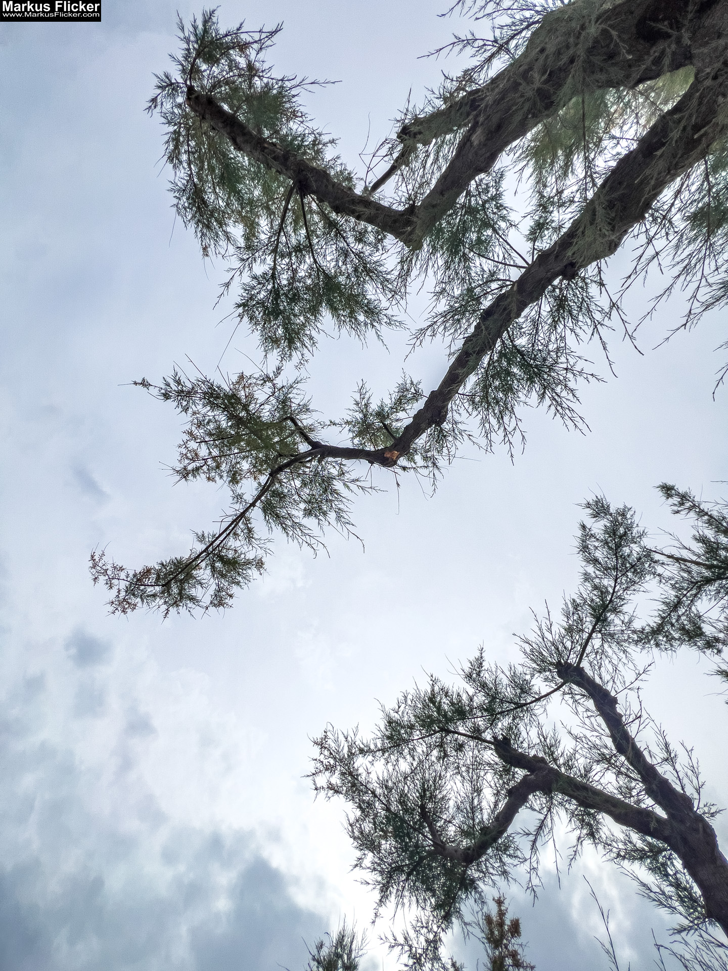 Die Stadt Krk – ein lebendiger Knotenpunkt aus Geschichte, Gegenwart und Zukunft Die Stadt Krk – ein lebendiger Knotenpunkt aus Geschichte, Gegenwart und Zukunft