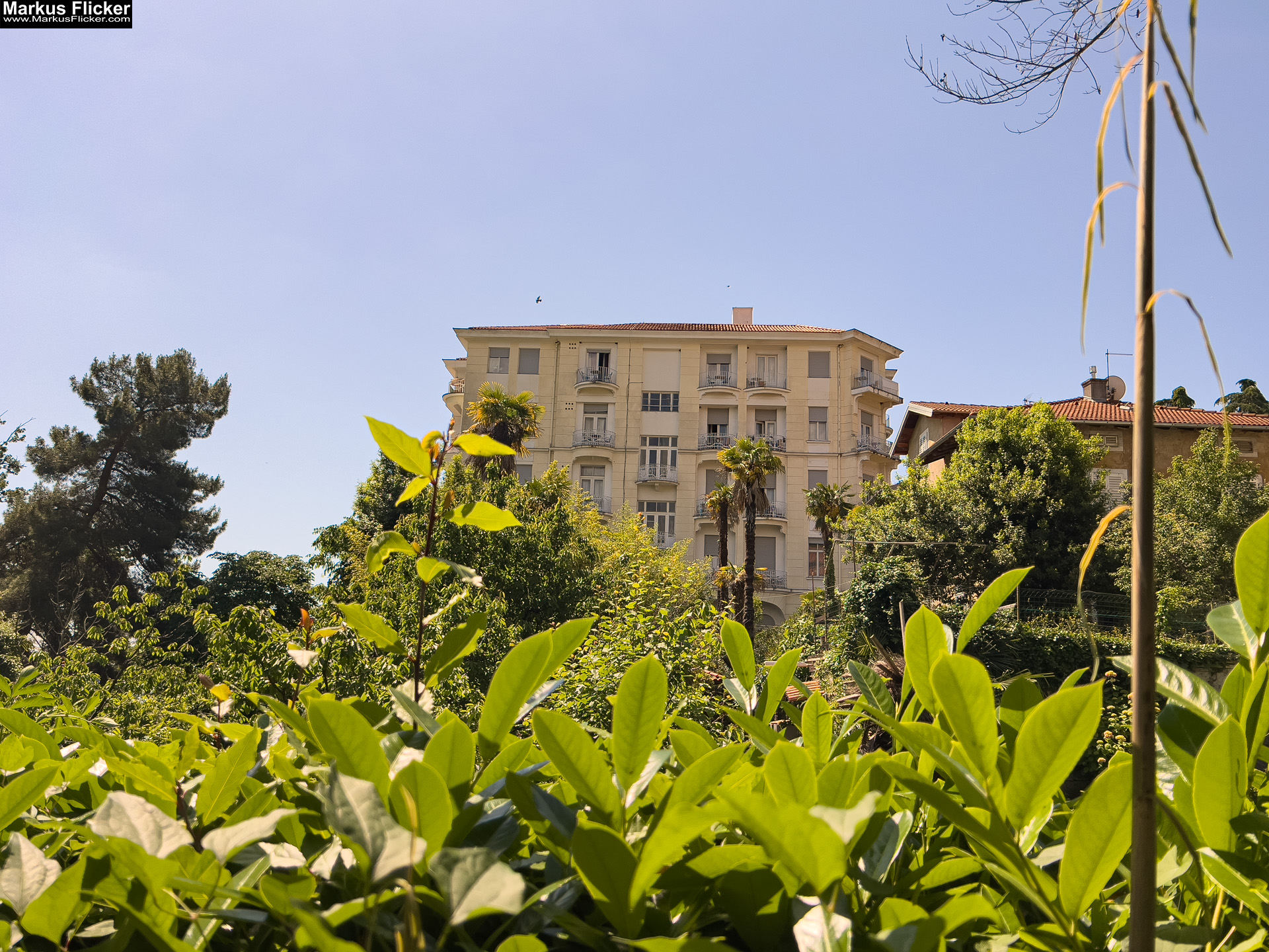 Lovran Ufer Küste Primorje-Gorski kotar Lorbeer Istrien Kroatien Adria #visitcroatia #visitlovran Lungomare Promenade Lovran Ufer Küste Primorje-Gorski kotar Lorbeer Istrien Kroatien Adria #visitcroatia #visitlovran