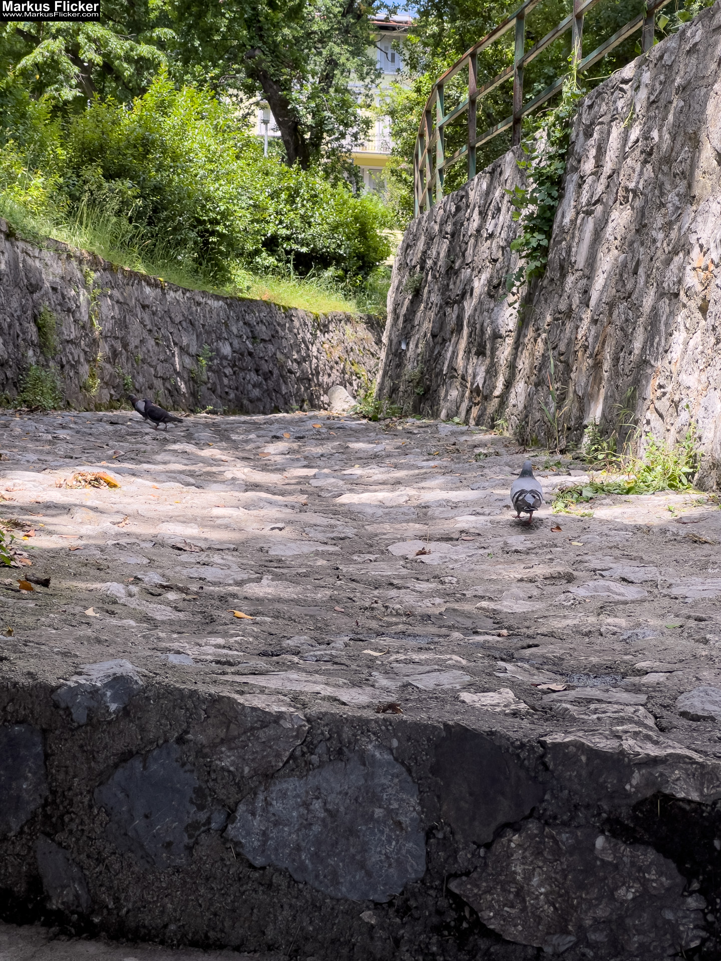 Lovran Ufer Küste Primorje-Gorski kotar Lorbeer Istrien Kroatien Adria #visitcroatia #visitlovran Lungomare Promenade Lovran Ufer Küste Primorje-Gorski kotar Lorbeer Istrien Kroatien Adria #visitcroatia #visitlovran