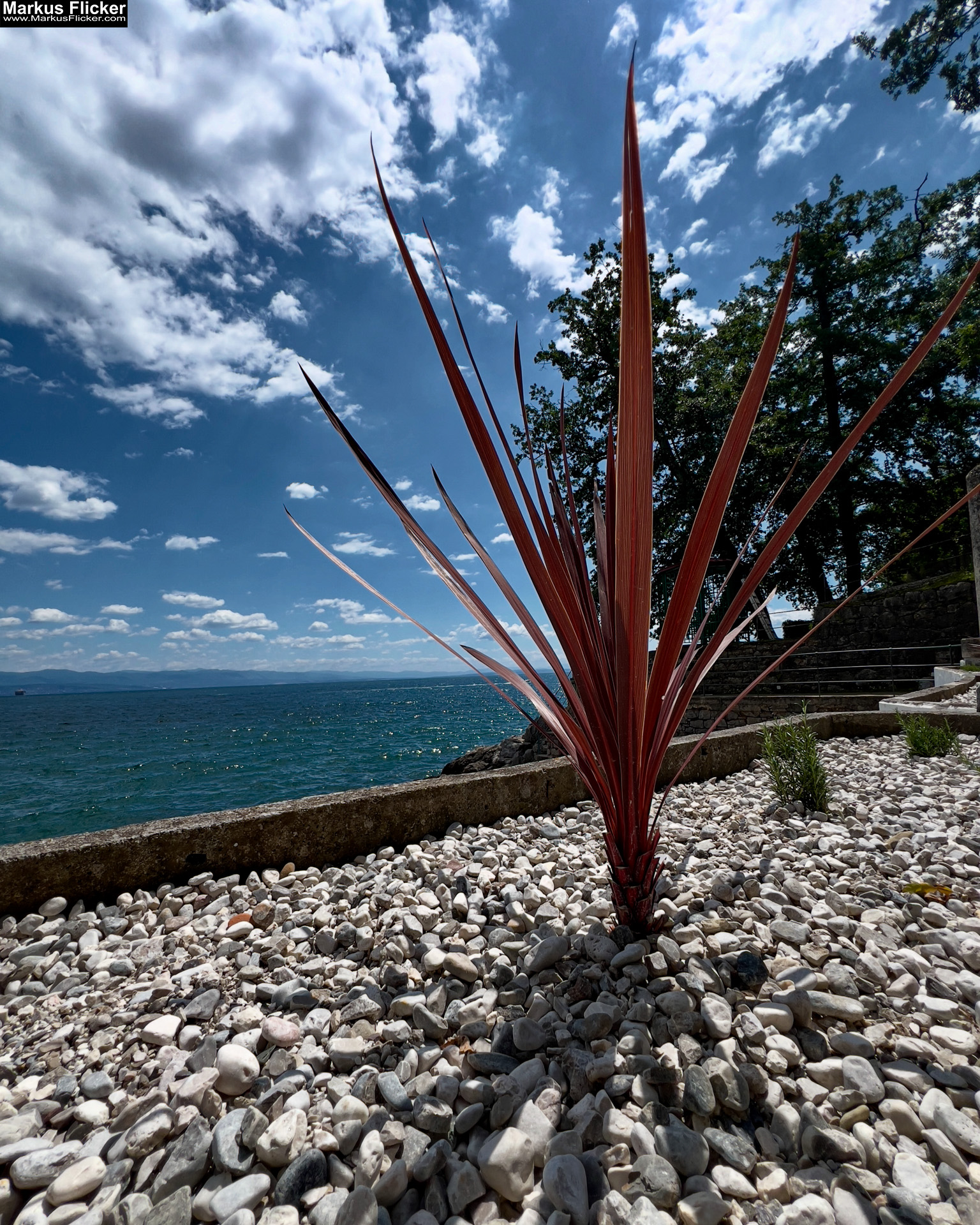 Lovran Ufer Küste Primorje-Gorski kotar Lorbeer Istrien Kroatien Adria #visitcroatia #visitlovran Lungomare Promenade Lovran Ufer Küste Primorje-Gorski kotar Lorbeer Istrien Kroatien Adria #visitcroatia #visitlovran