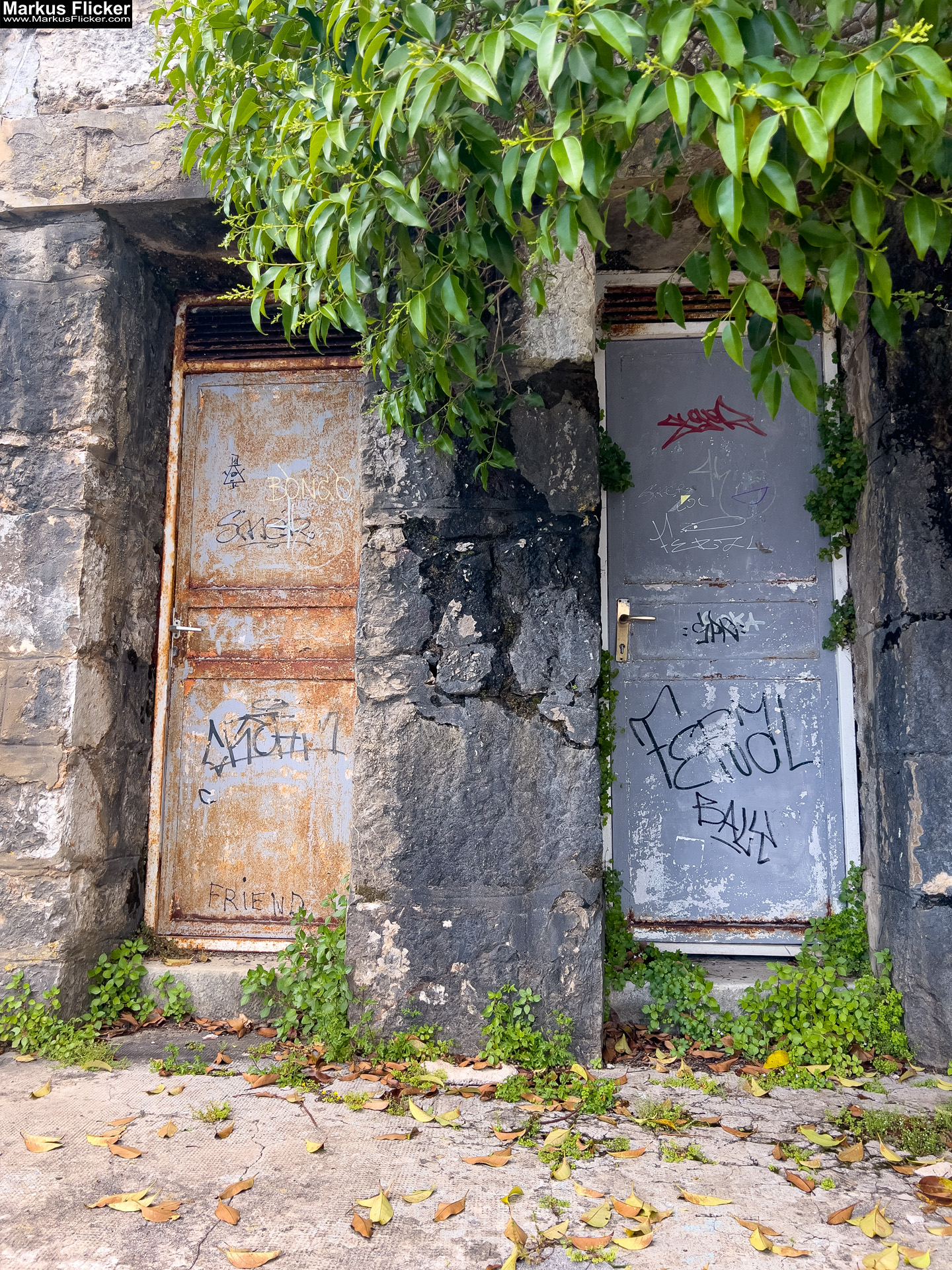 Lovran Ufer Küste Primorje-Gorski kotar Lorbeer Istrien Kroatien Adria #visitcroatia #visitlovran Lungomare Promenade Lovran Ufer Küste Primorje-Gorski kotar Lorbeer Istrien Kroatien Adria #visitcroatia #visitlovran