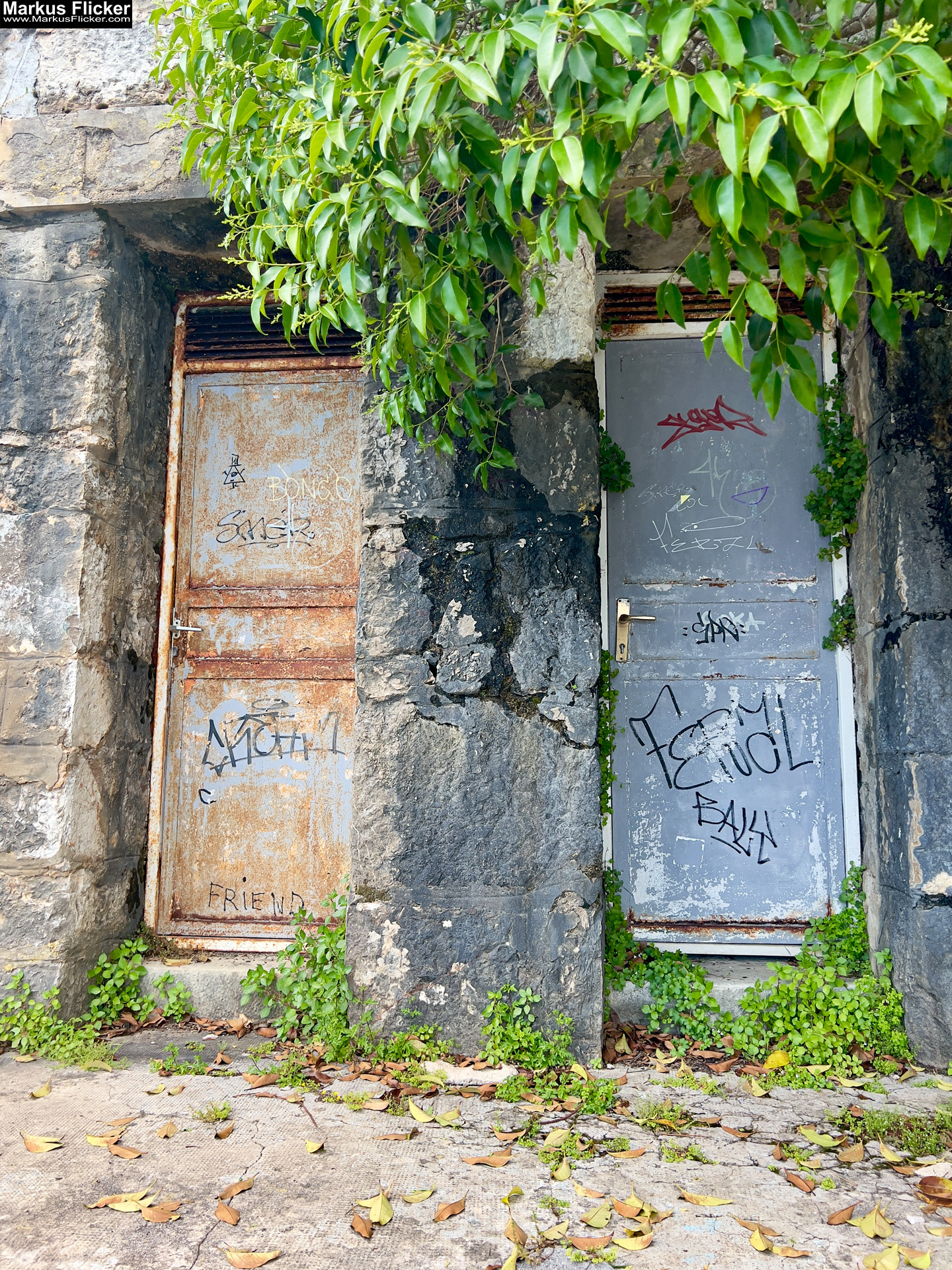 Lovran Ufer Küste Primorje-Gorski kotar Lorbeer Istrien Kroatien Adria #visitcroatia #visitlovran Lungomare Promenade Lovran Ufer Küste Primorje-Gorski kotar Lorbeer Istrien Kroatien Adria #visitcroatia #visitlovran