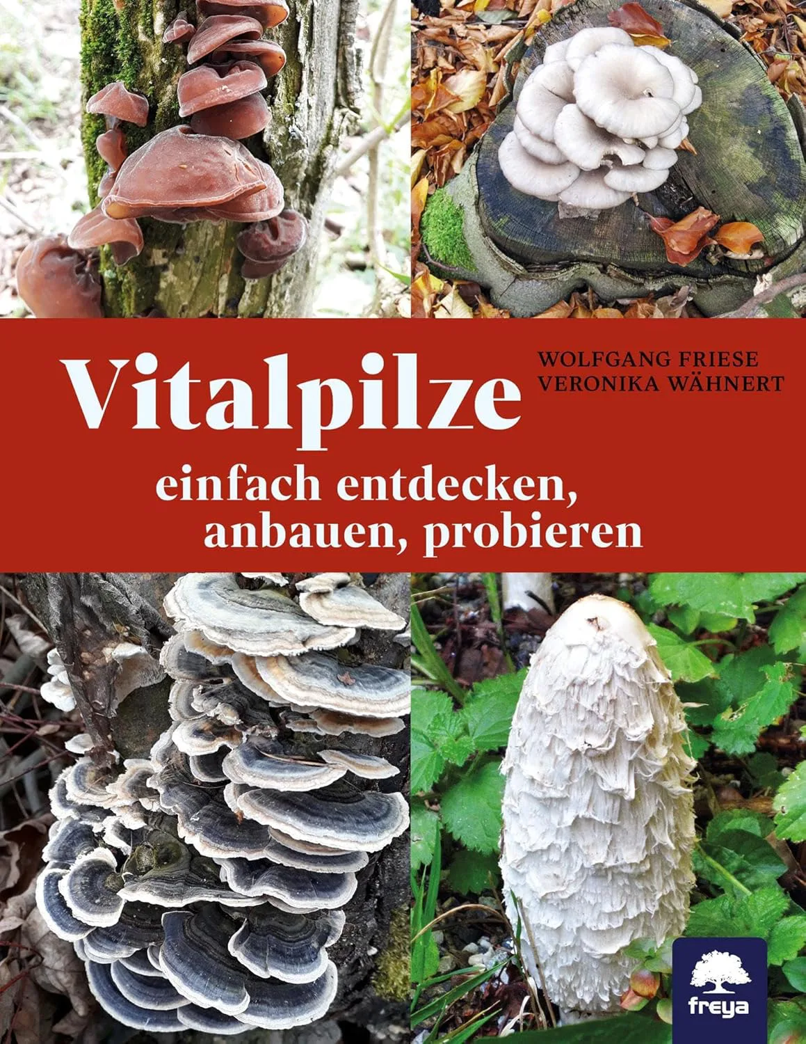 Vitalpilze: einfach entdecken, anbauen, probieren von Wolfgang Friese und Veronika Wähnert
