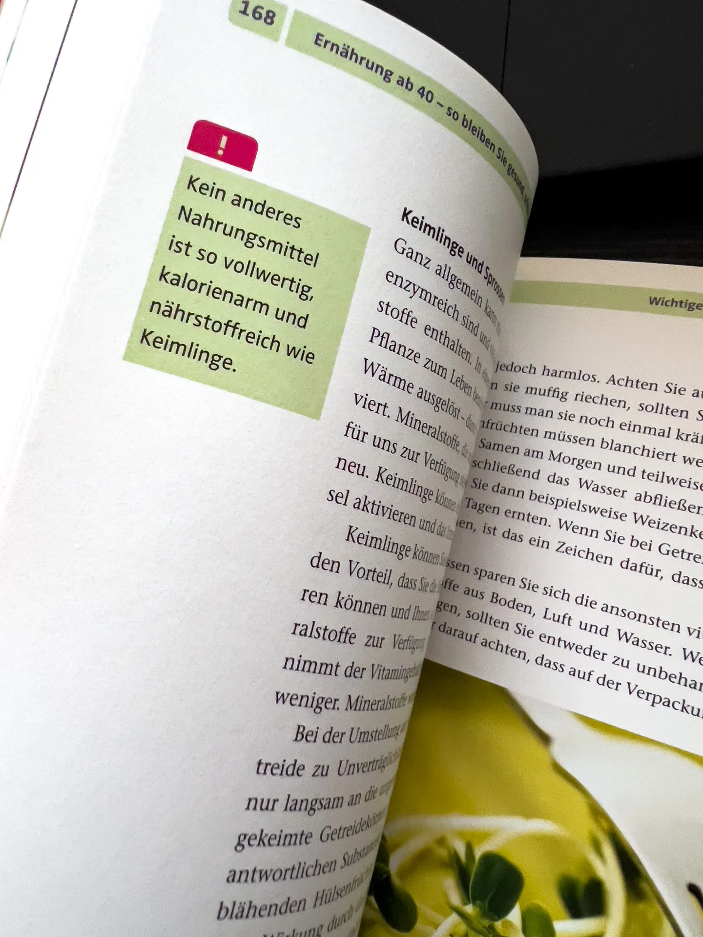 Gesunde Ernährung ab 40: So bleiben Sie fit und leistungsfähig von Dr. Andrea Flemmer