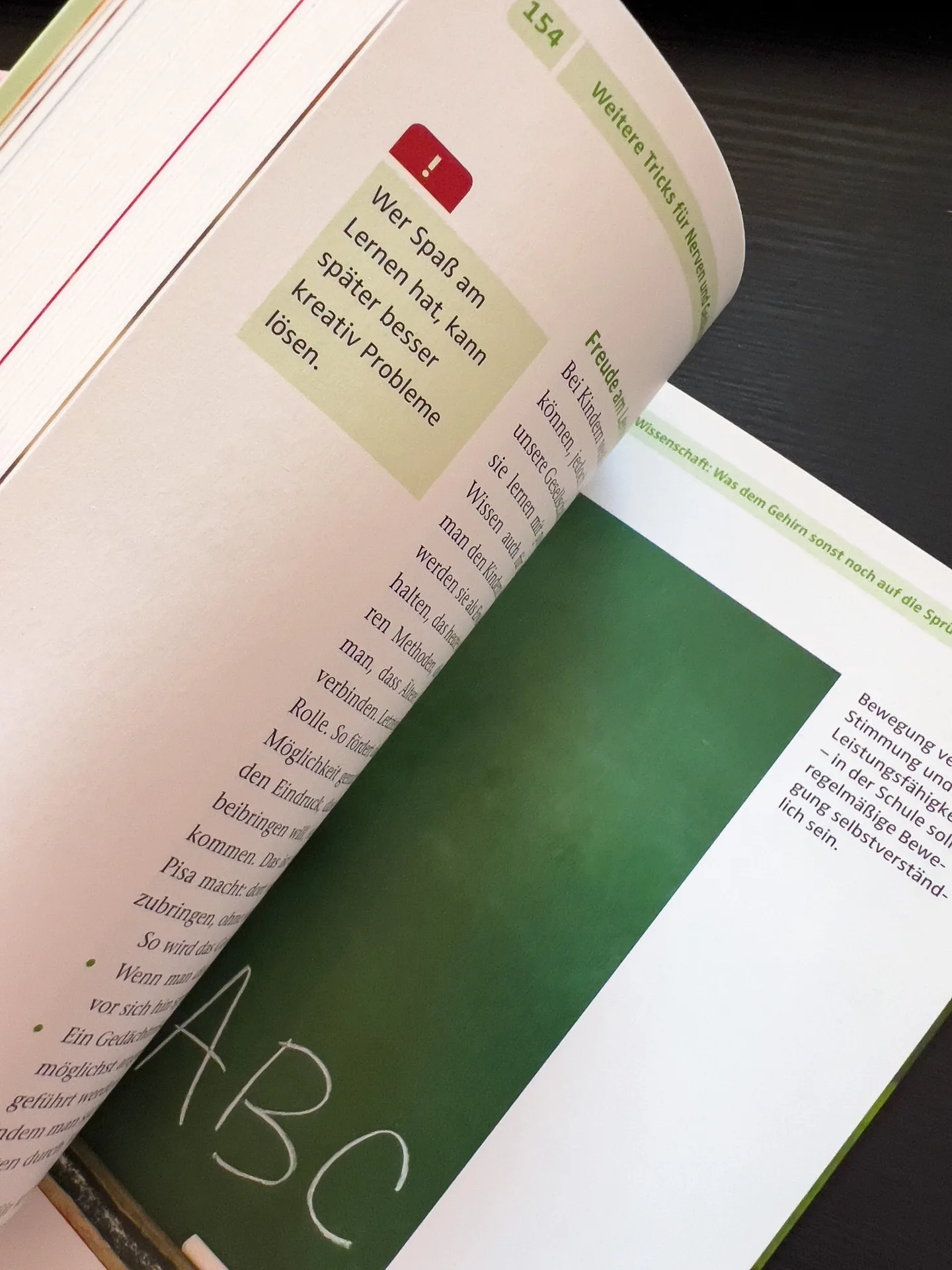 Nervennahrung: Das richtige Essen für starke Nerven und ein gutes Gedächtnis von Dr. Andrea Flemmer Nervennahrung: Das richtige Essen für starke Nerven und ein gutes Gedächtnis von Dr. Andrea Flemmer